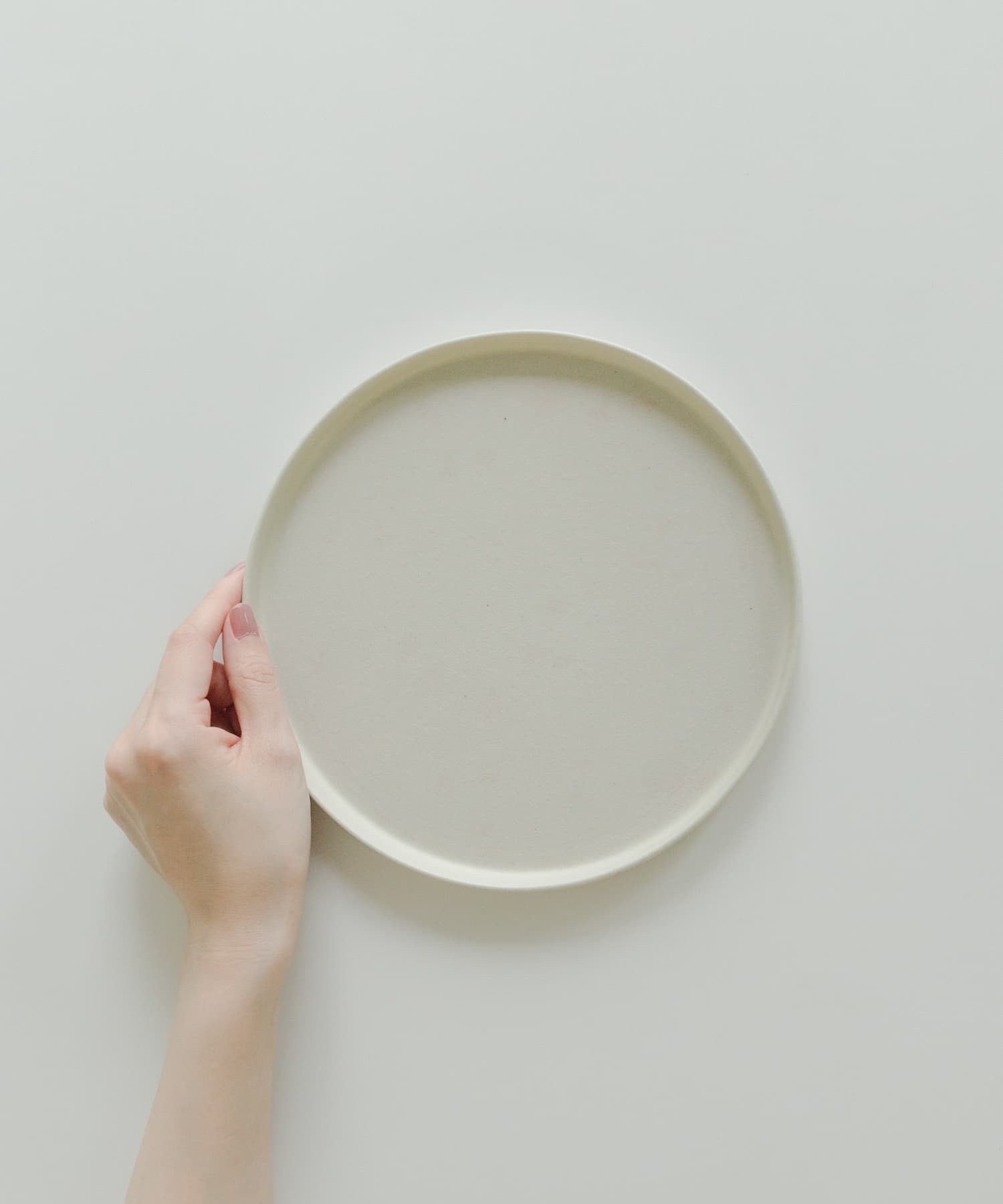 信楽焼 musve plate L 2枚セット off white L