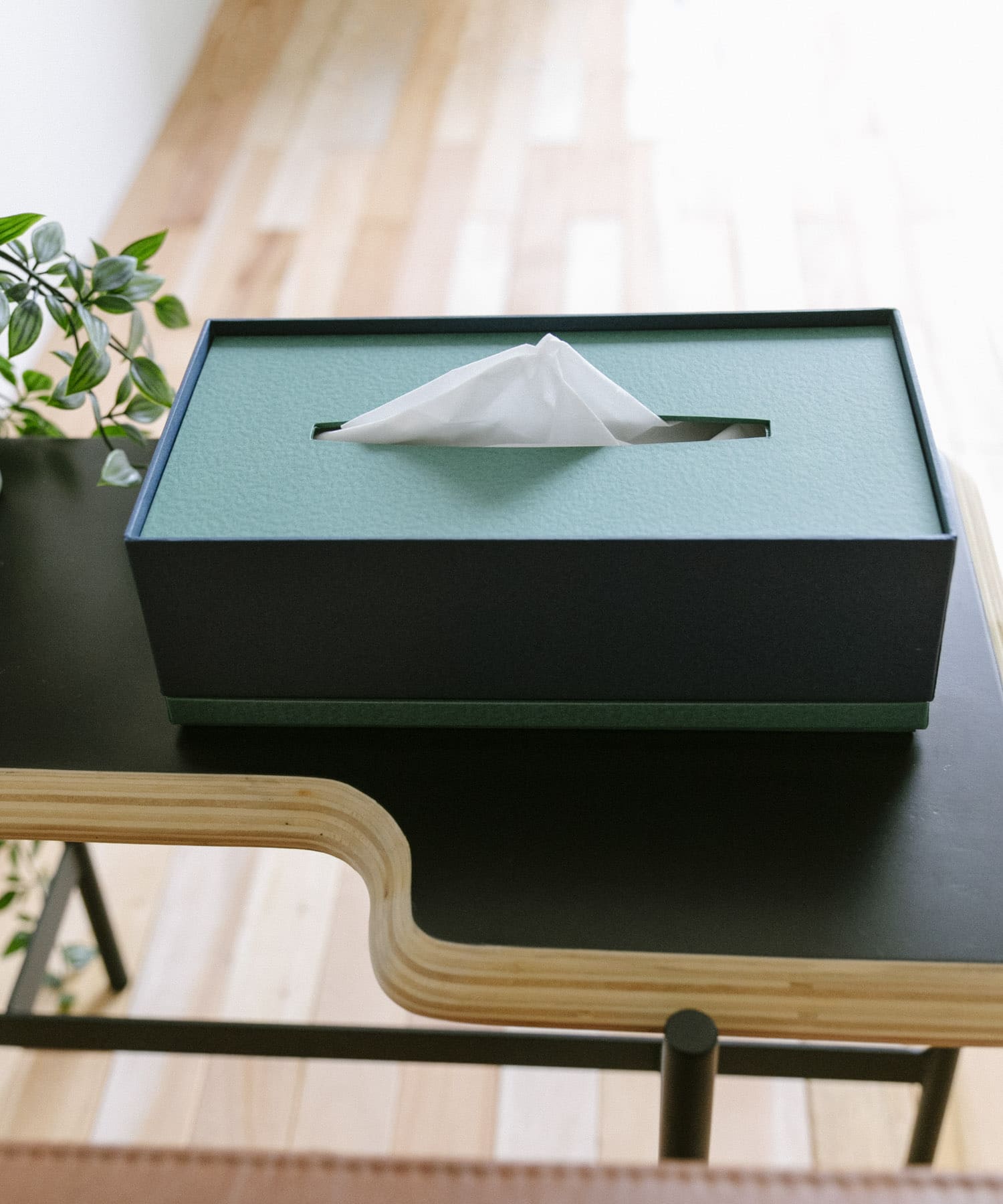 &PAPERS　SNEAK 二重蓋のティッシュケース NAVY GREEN -