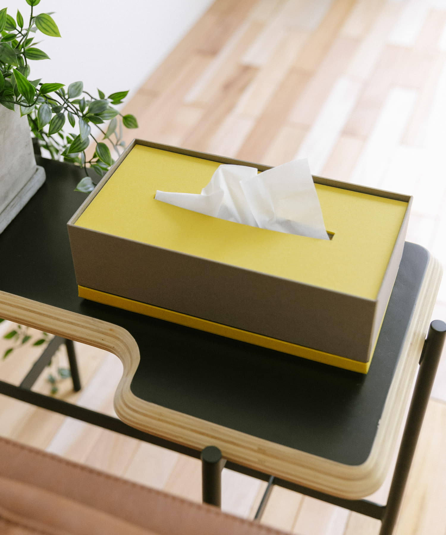 &PAPERS　SNEAK 二重蓋のティッシュケース BROWN YEL -