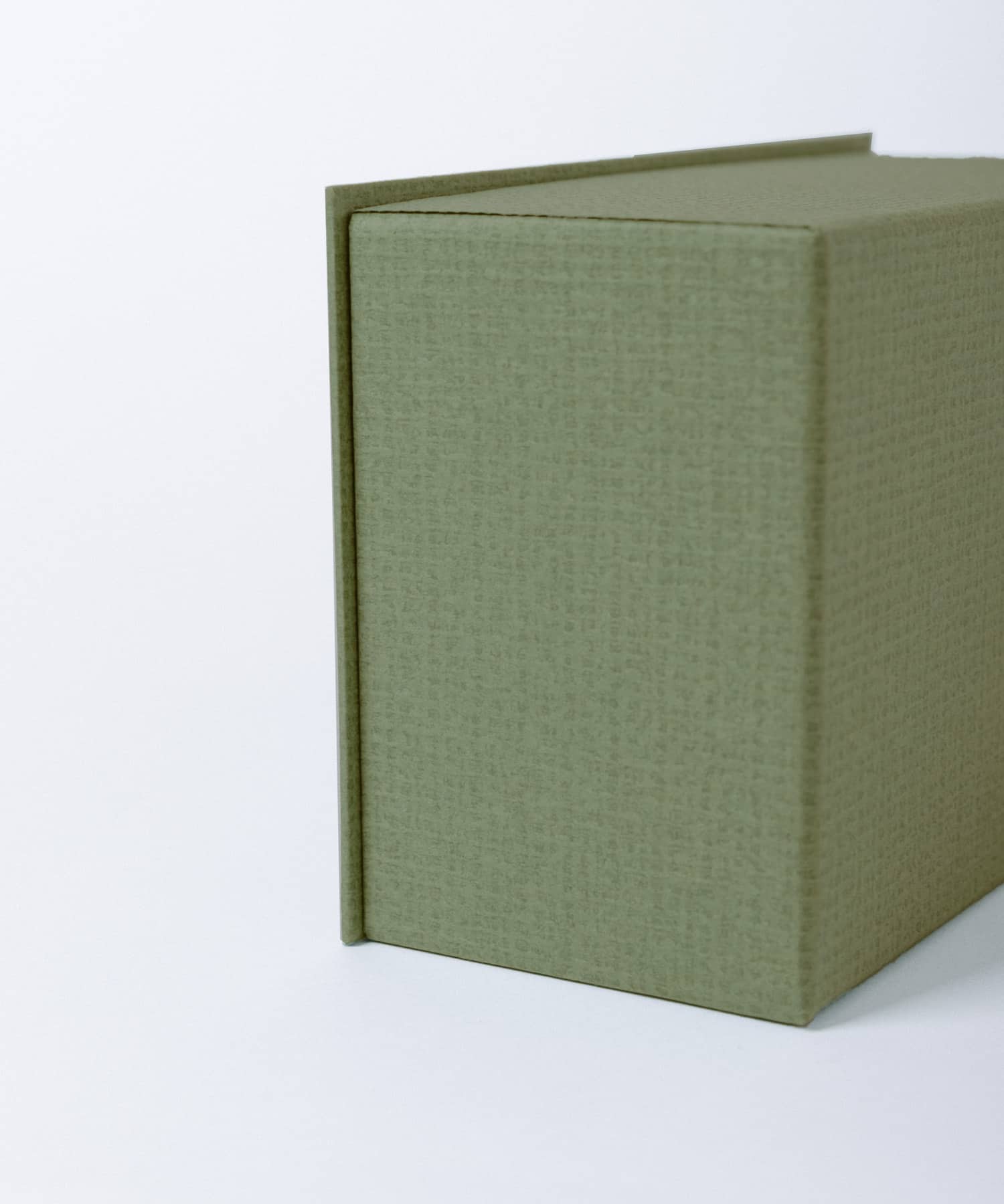 &PAPERS　別注STANLEY マスク収納ケース MOSSxBRN -