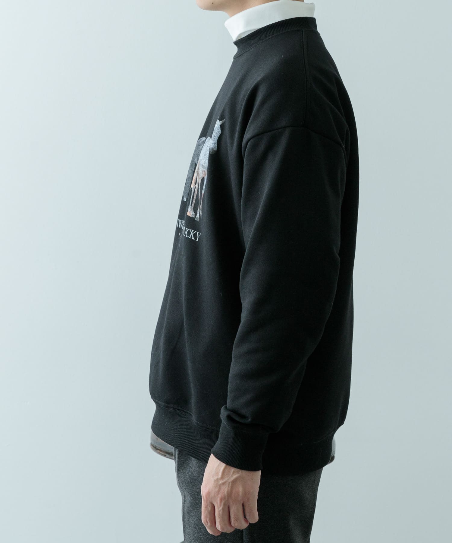 クルーネックスエット horse BLK M
