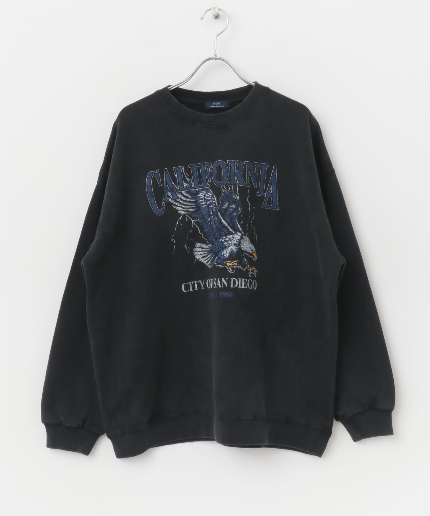 『XLサイズあり』パウダー加工 クルーネックスウェットプルオーバー Eagle M