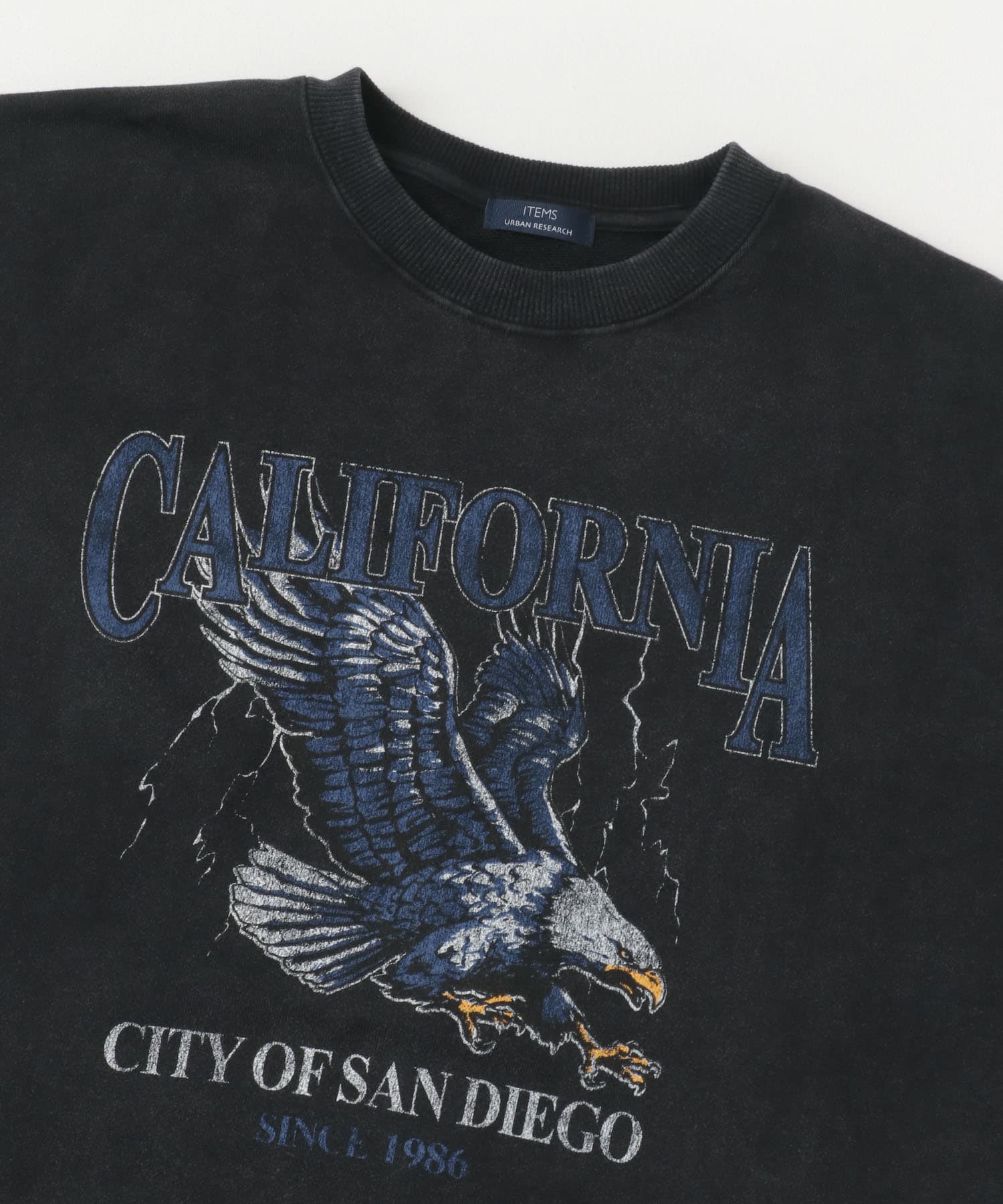 『XLサイズあり』パウダー加工 クルーネックスウェットプルオーバー Eagle M