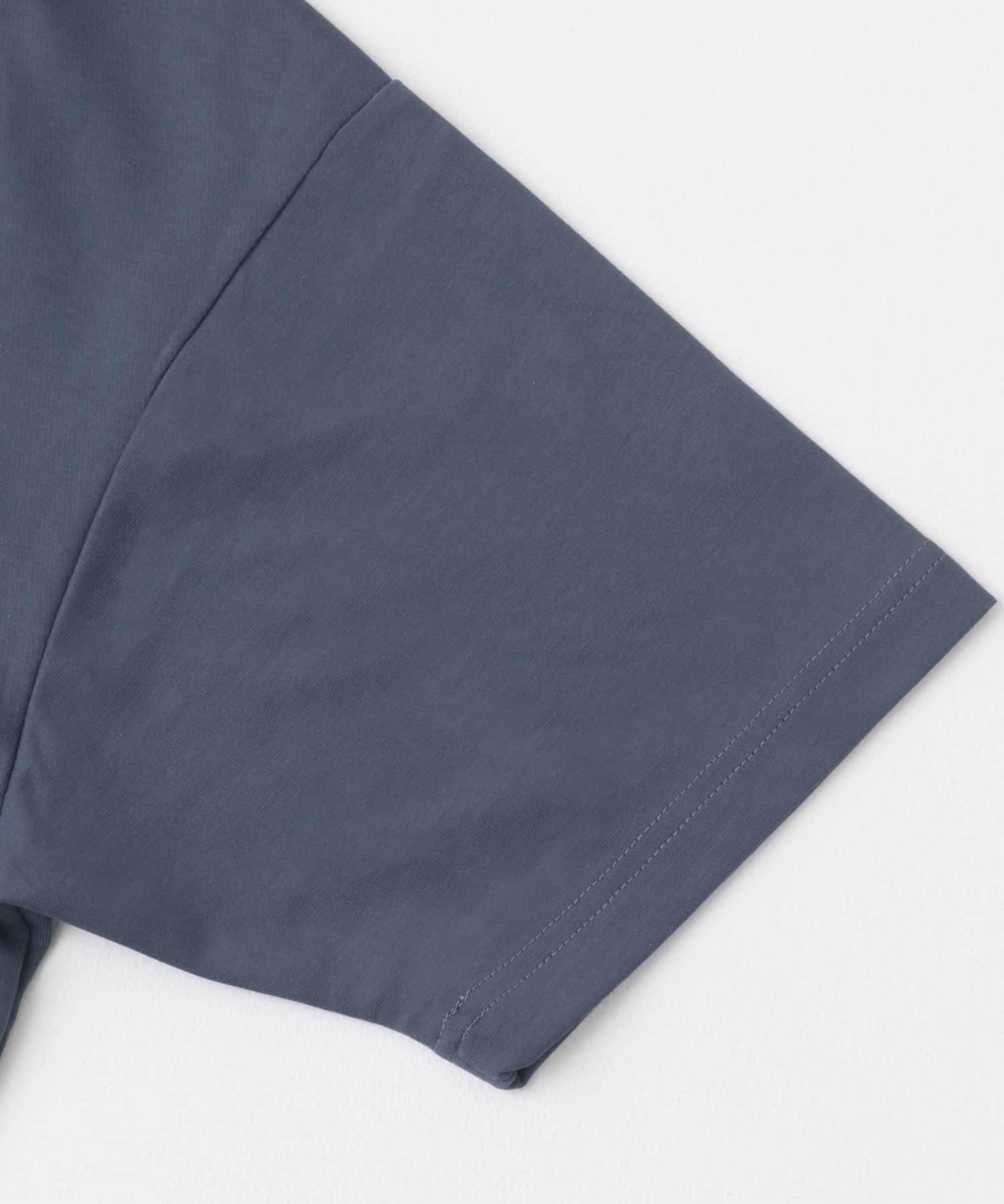 BLUE GRAY