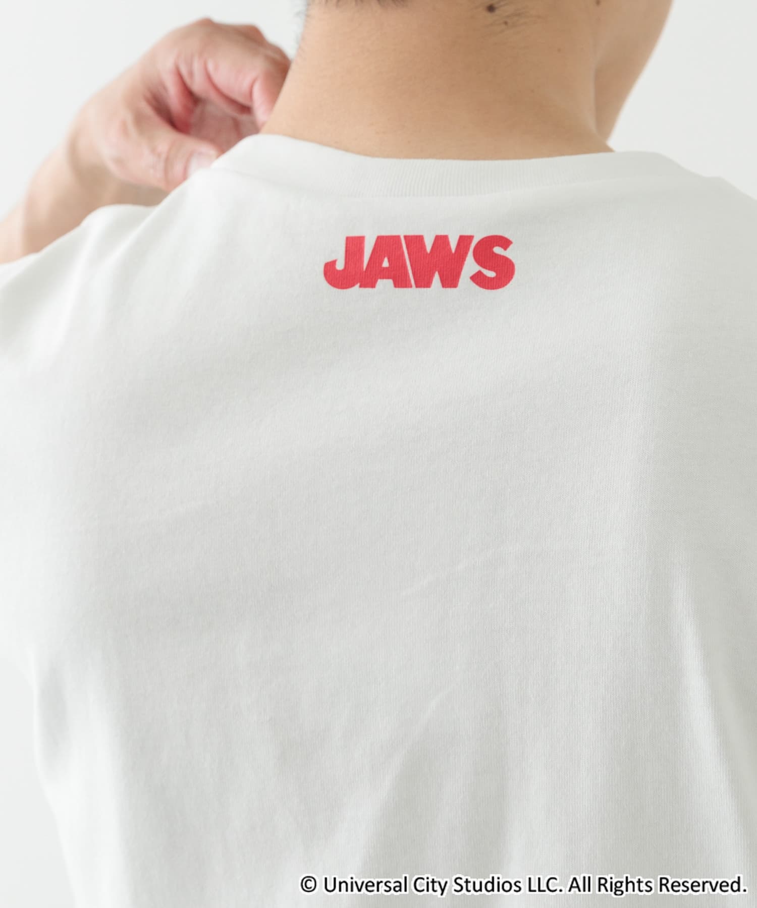 JAWS WHT