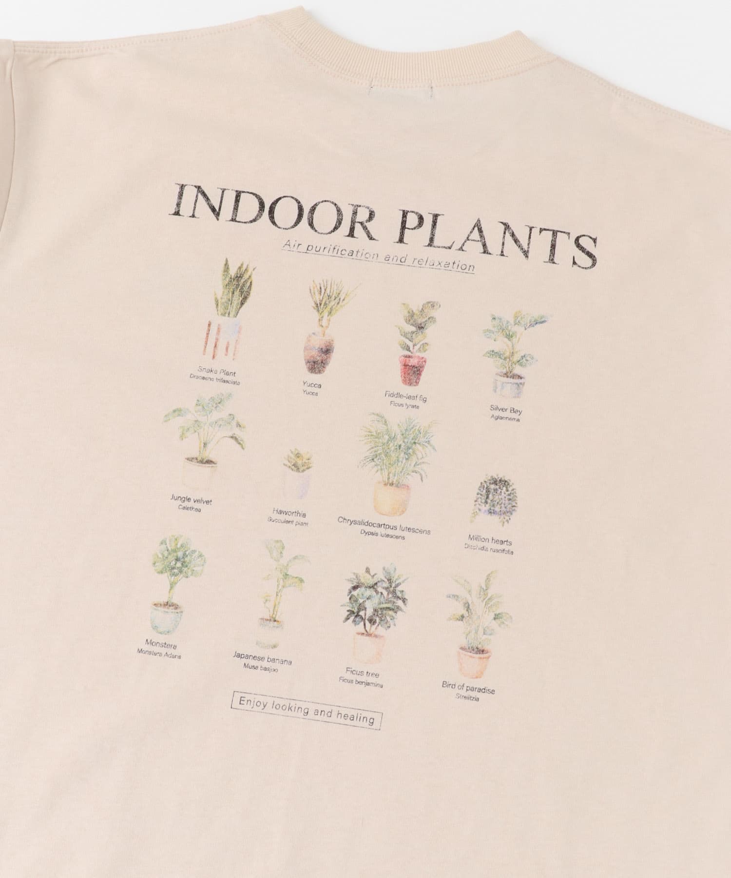 PlantsバックプリントusedライクTシャツ BEG M