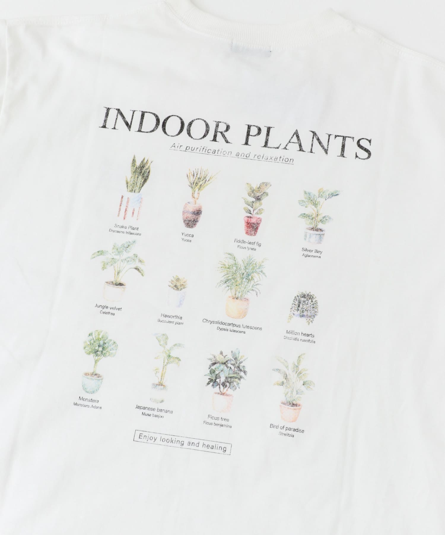 PlantsバックプリントusedライクTシャツ WHT M