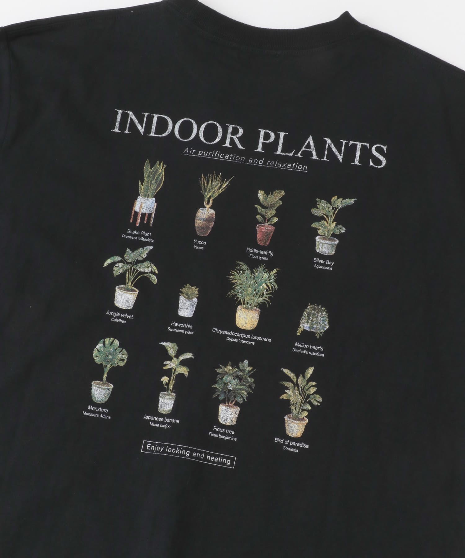 PlantsバックプリントusedライクTシャツ BLK M