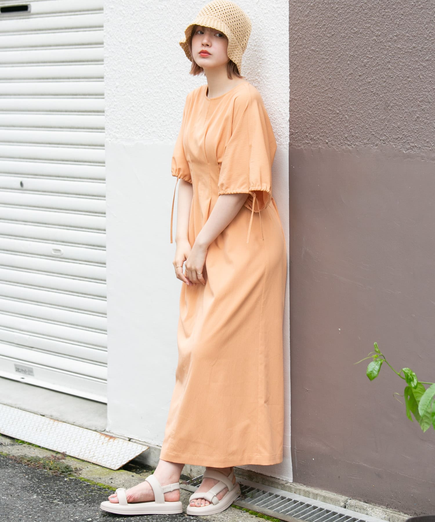 APRICOT