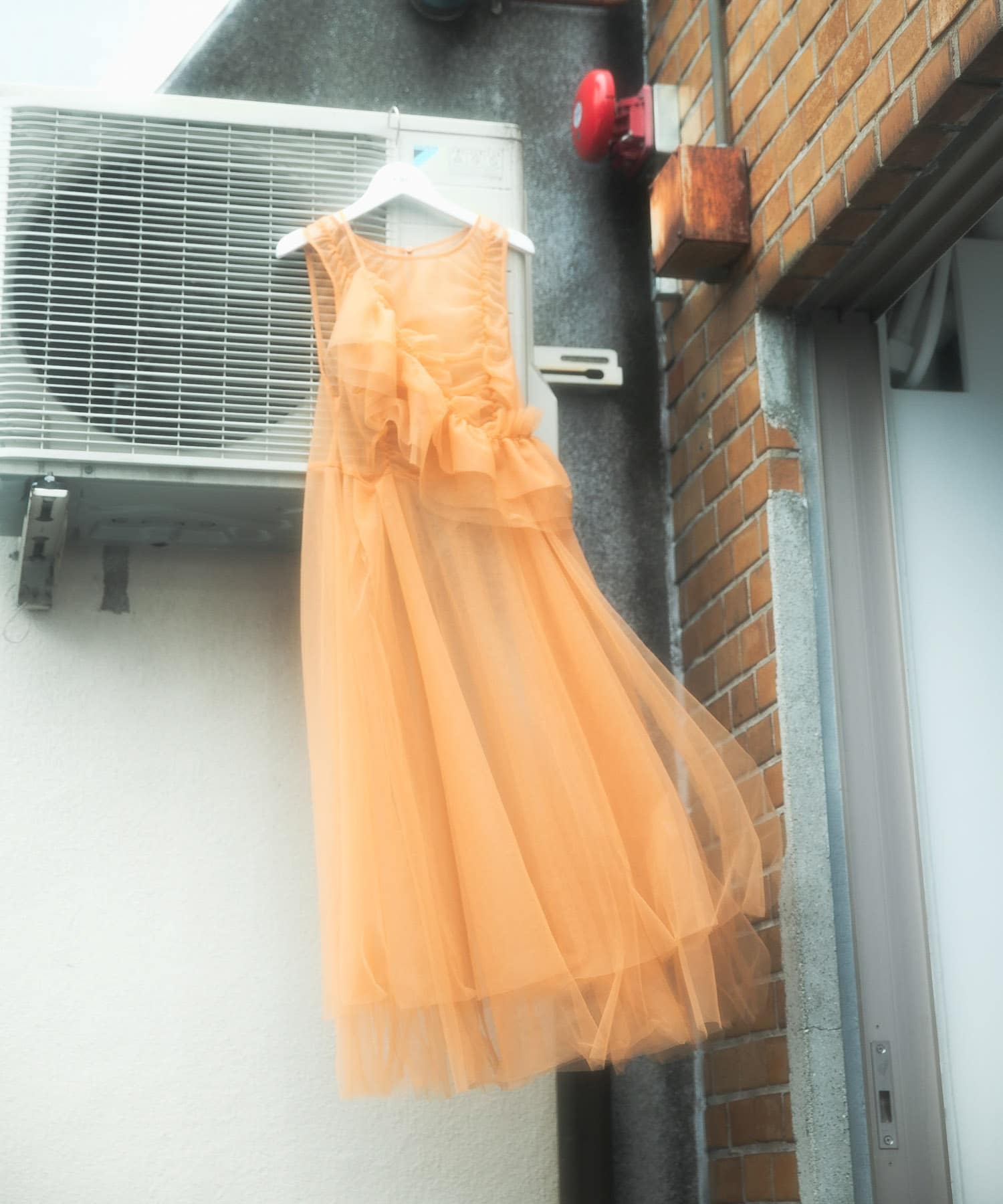 APRICOT