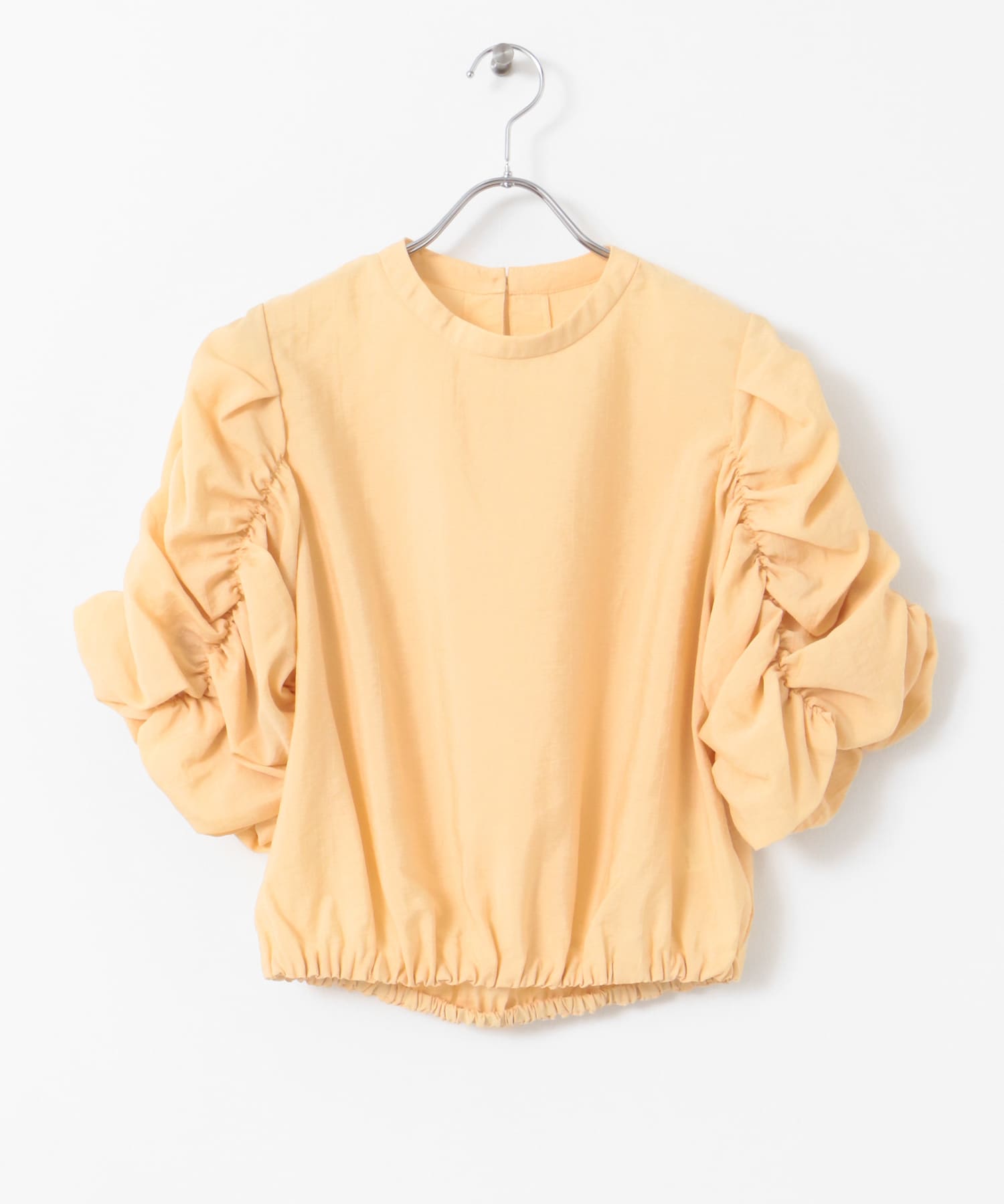 APRICOT