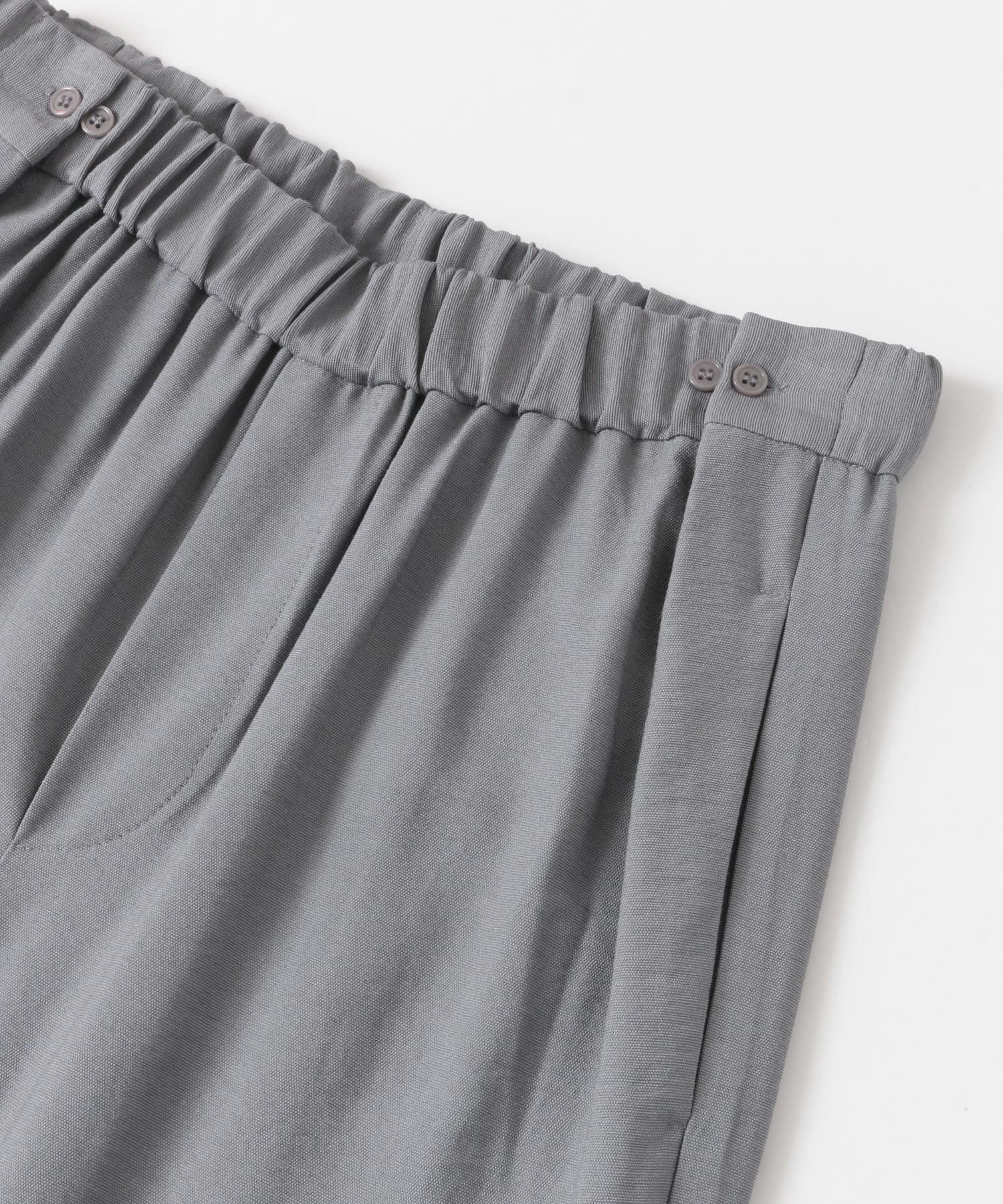 DINOSAUR PANTS コンクリート FREE