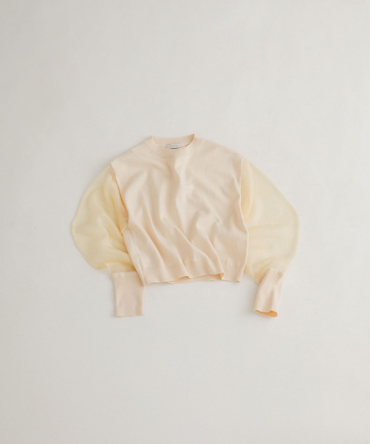 sheer sleeve knit