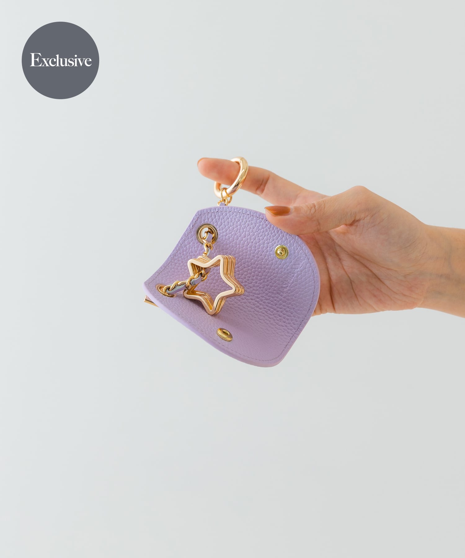 別注』Hashibami×RODESKO マンテルキーケース(one BLACK): 財布/小物