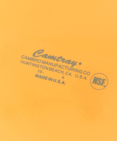 CAMBRO　CAMTRAY MEDIUM∴ CAMBRO RED one