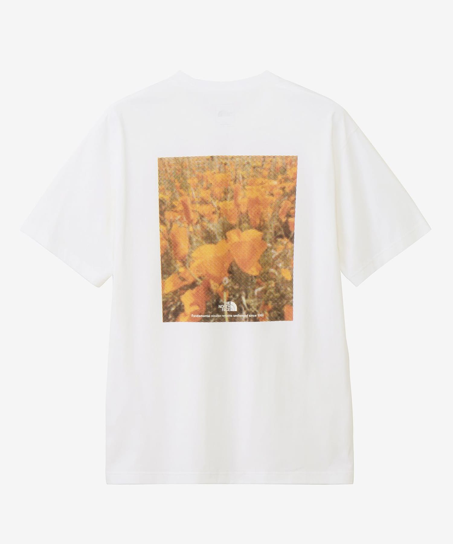 THE NORTH FACE　FD Pixel Plant Cotton T-shirts ホワイト M