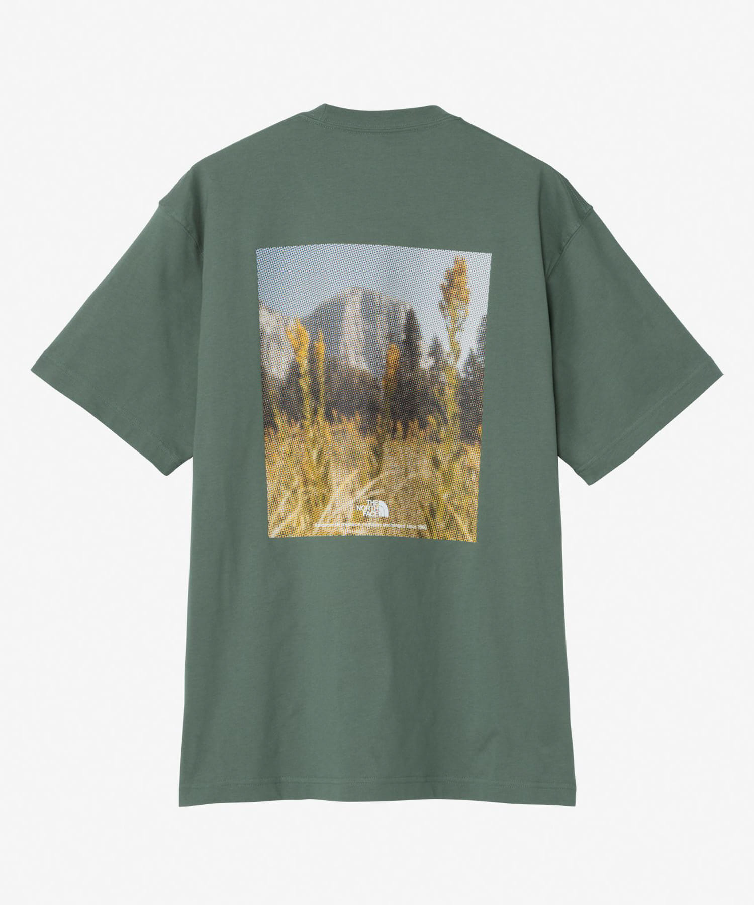 THE NORTH FACE　FD Pixel Plant Cotton T-shirts ダックグリーン M