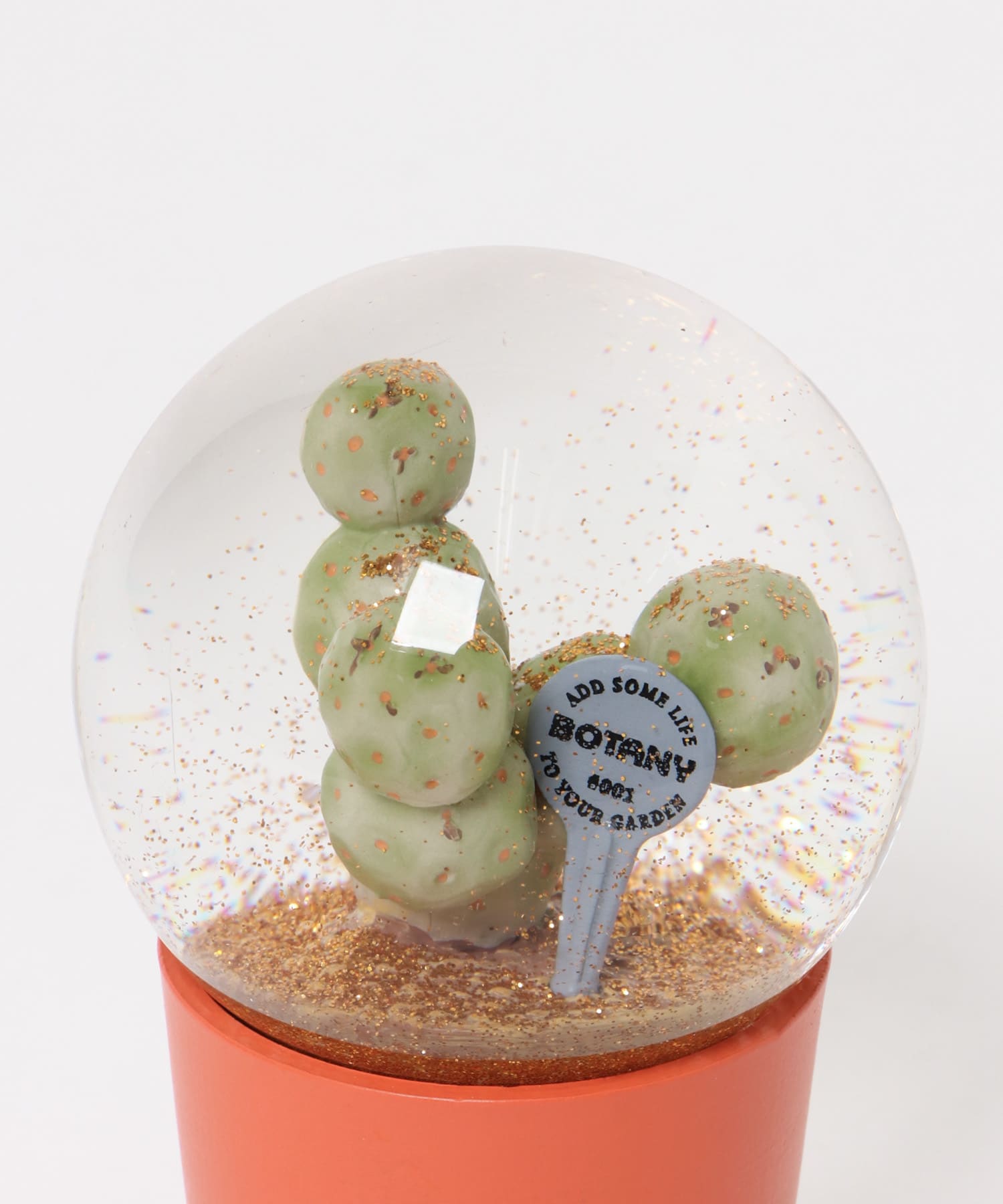 DULTON　Plants water globe ゲオメトリクス one