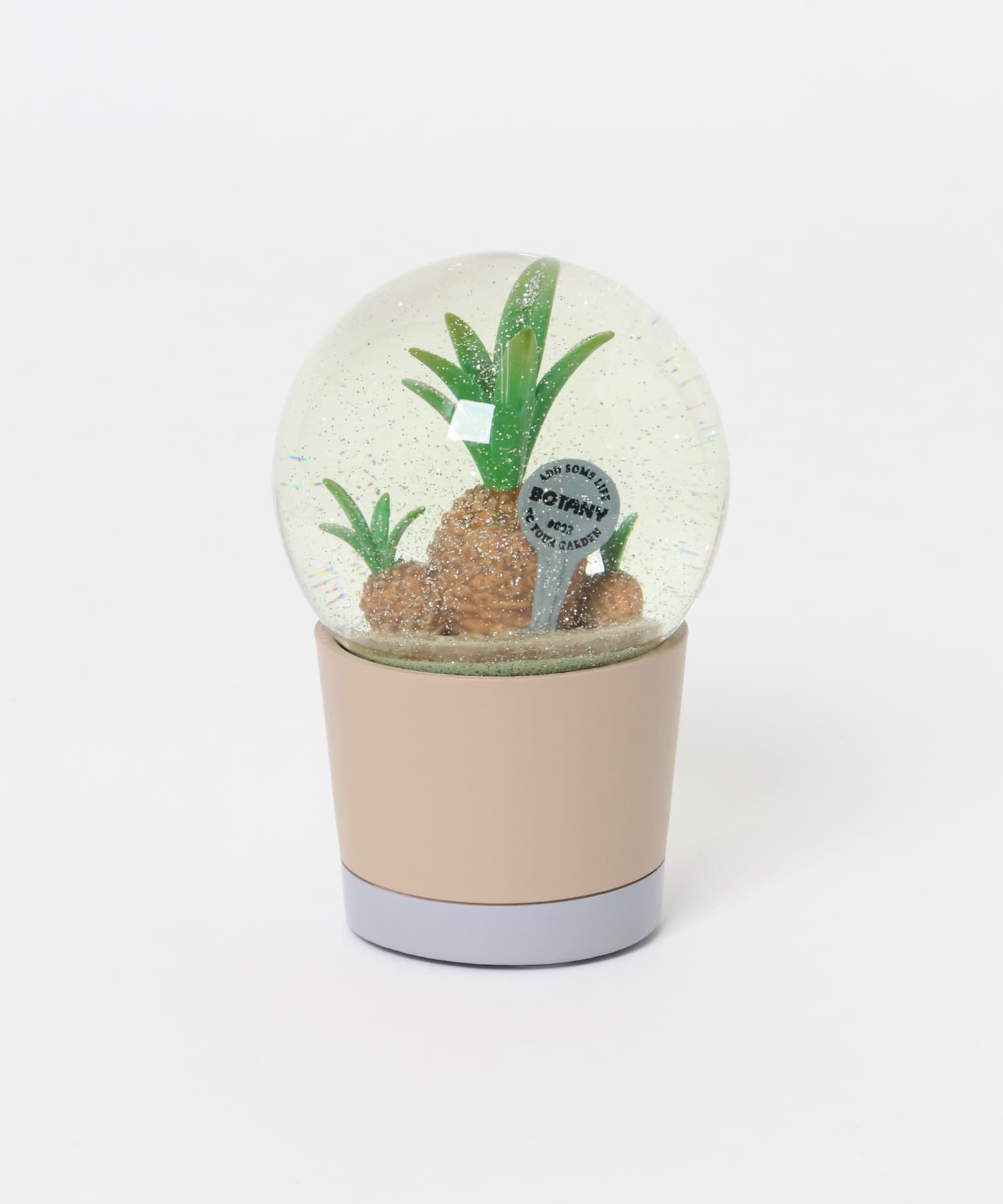 DULTON　Plants water globe