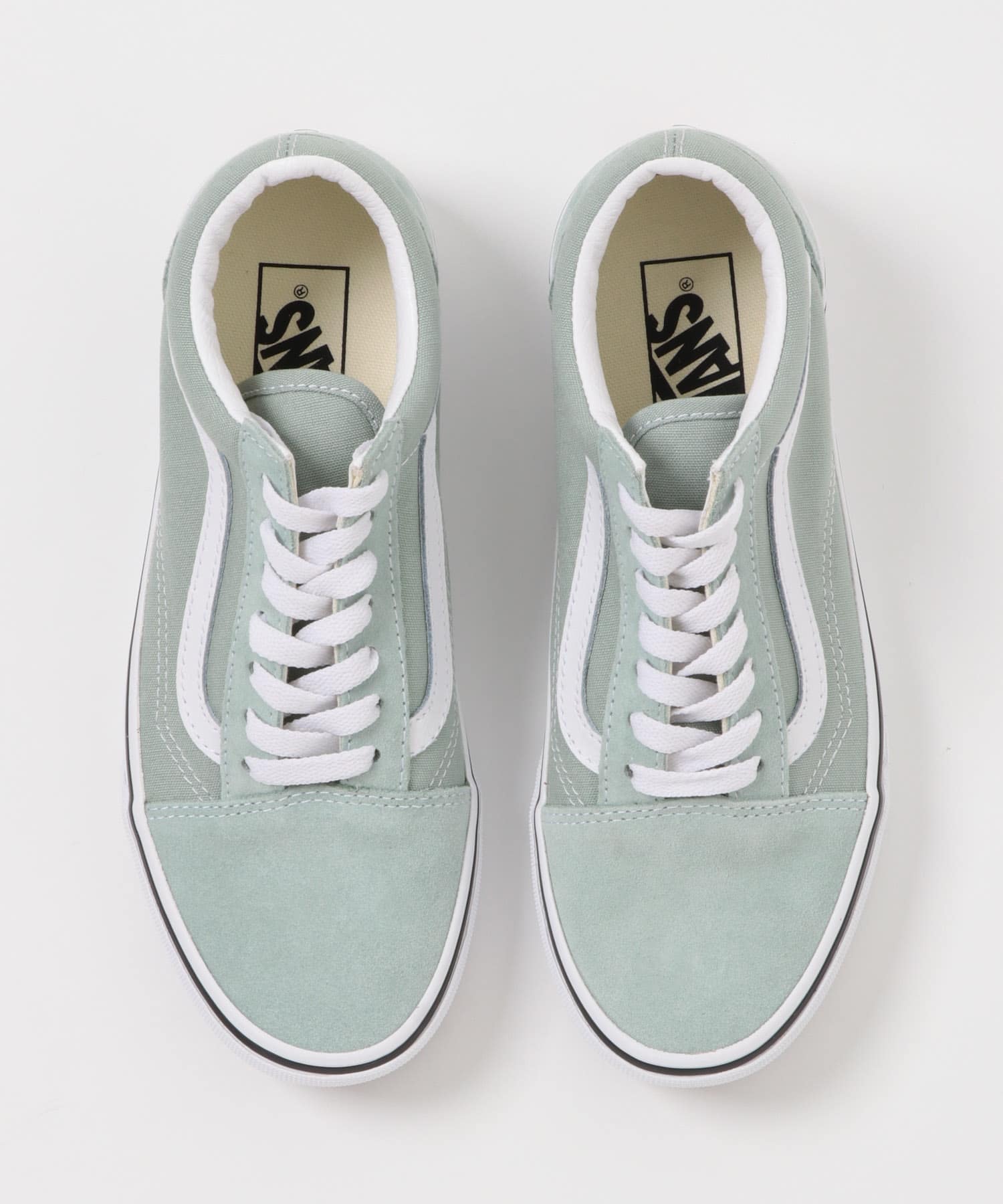Gray Olive