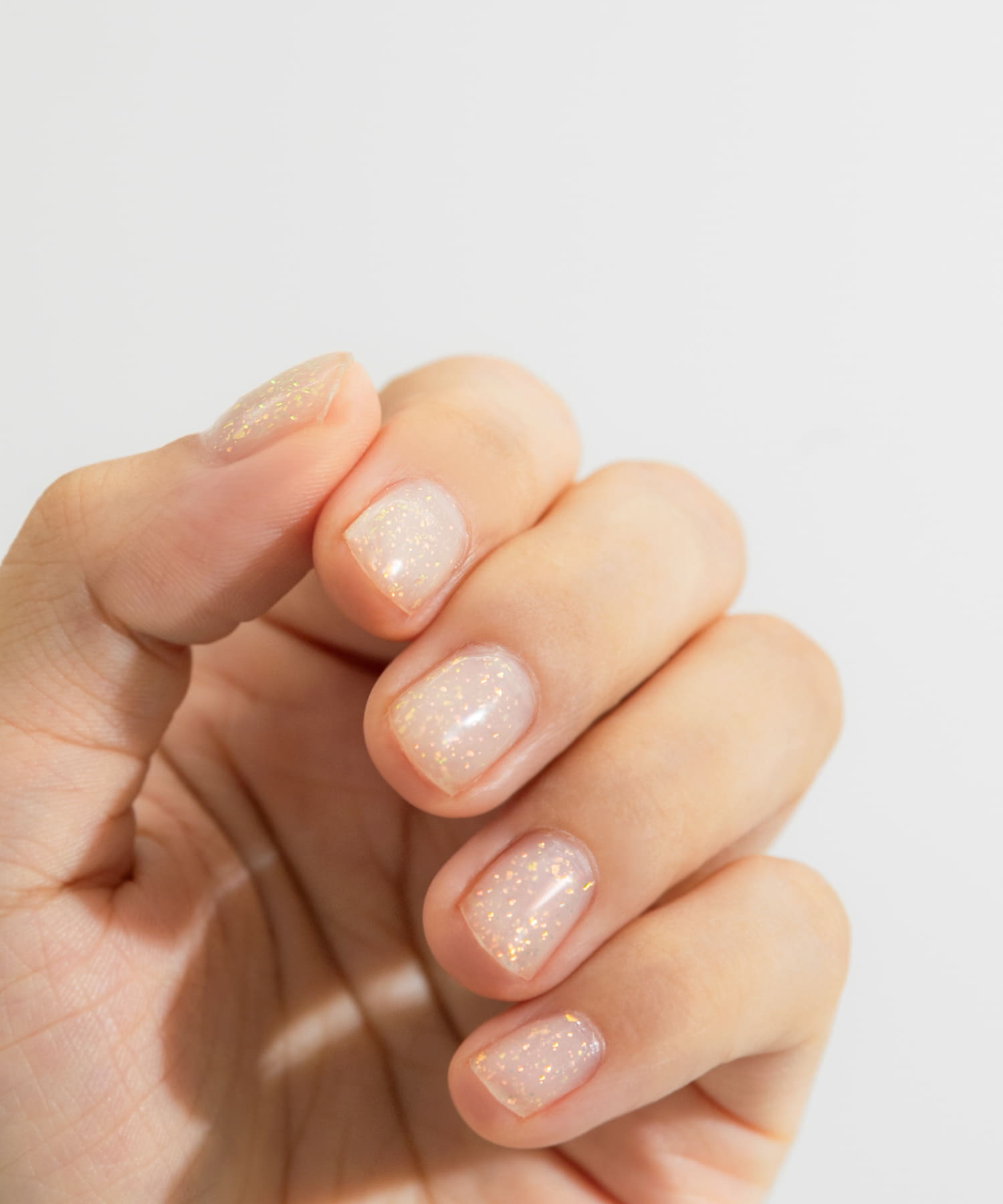 【使用カラー】prism