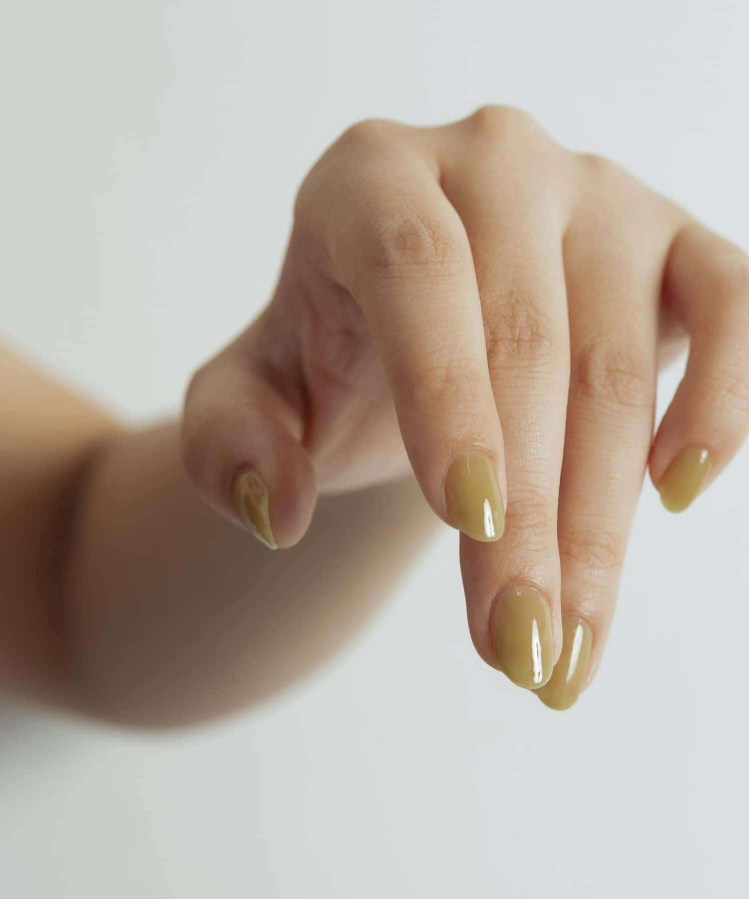 シアーローズマリー