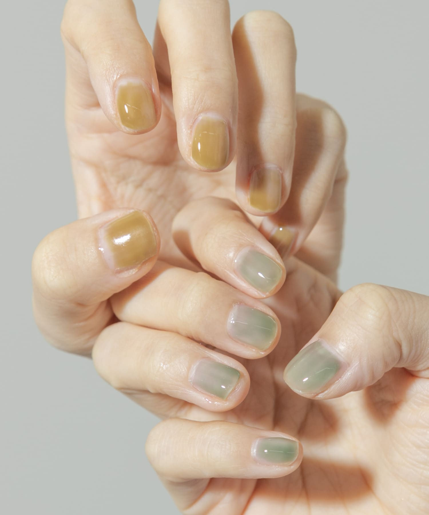 【使用カラー】cactus/papaya