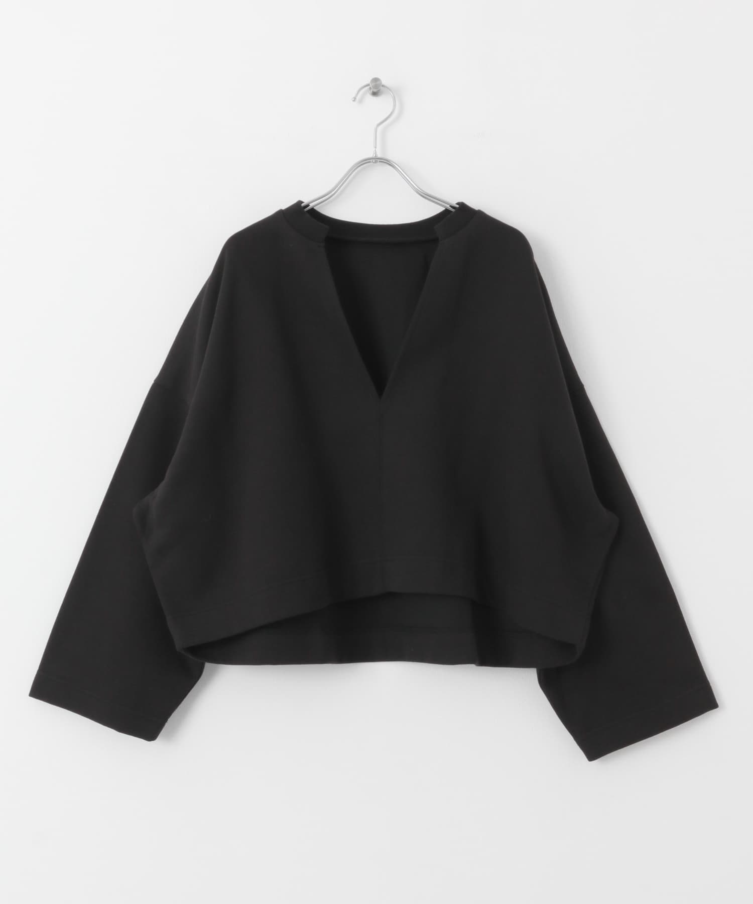 Vネッククロップドトップ BLACK one