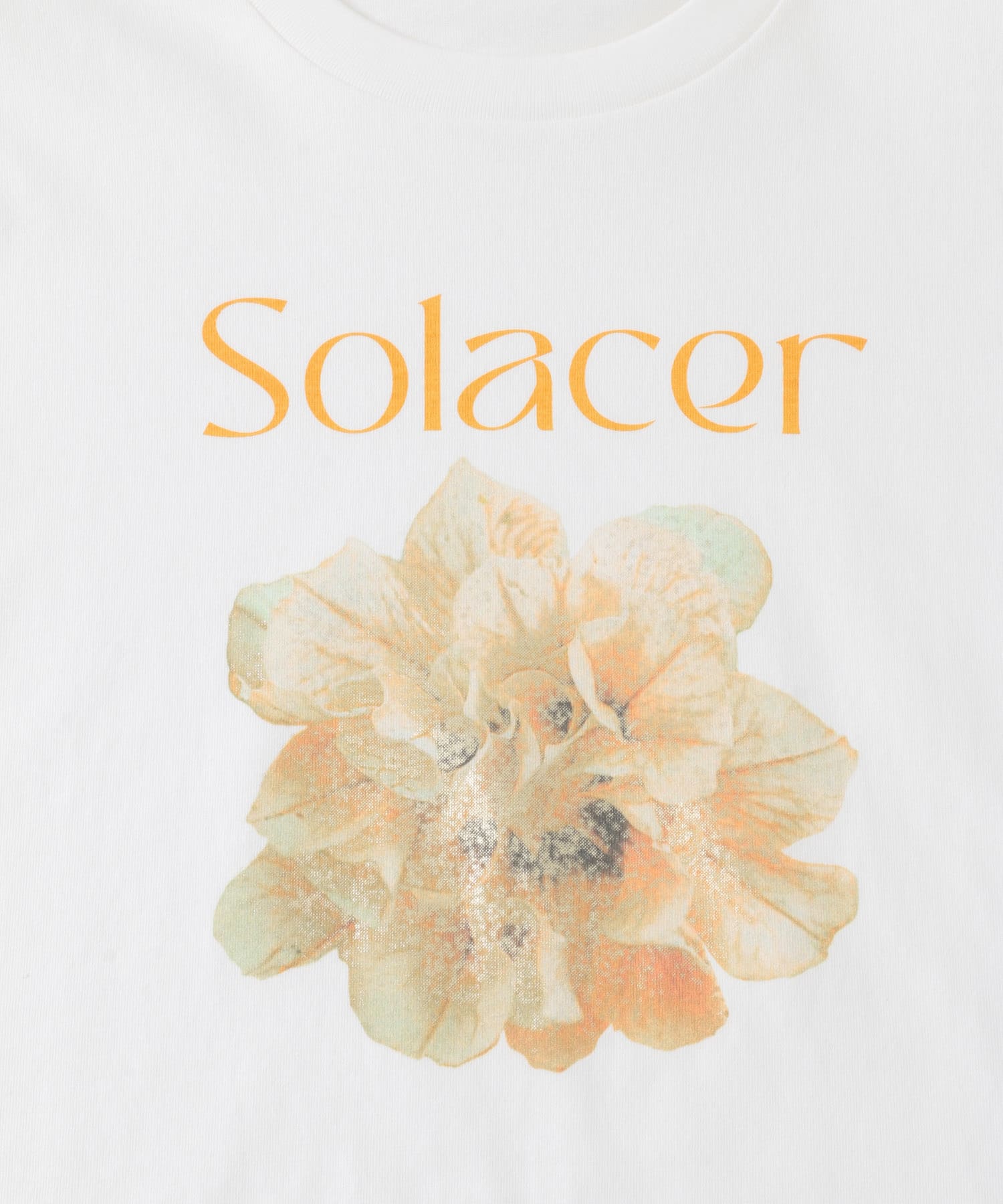 グラフィックTシャツ(半袖) GRAPHIC-A one