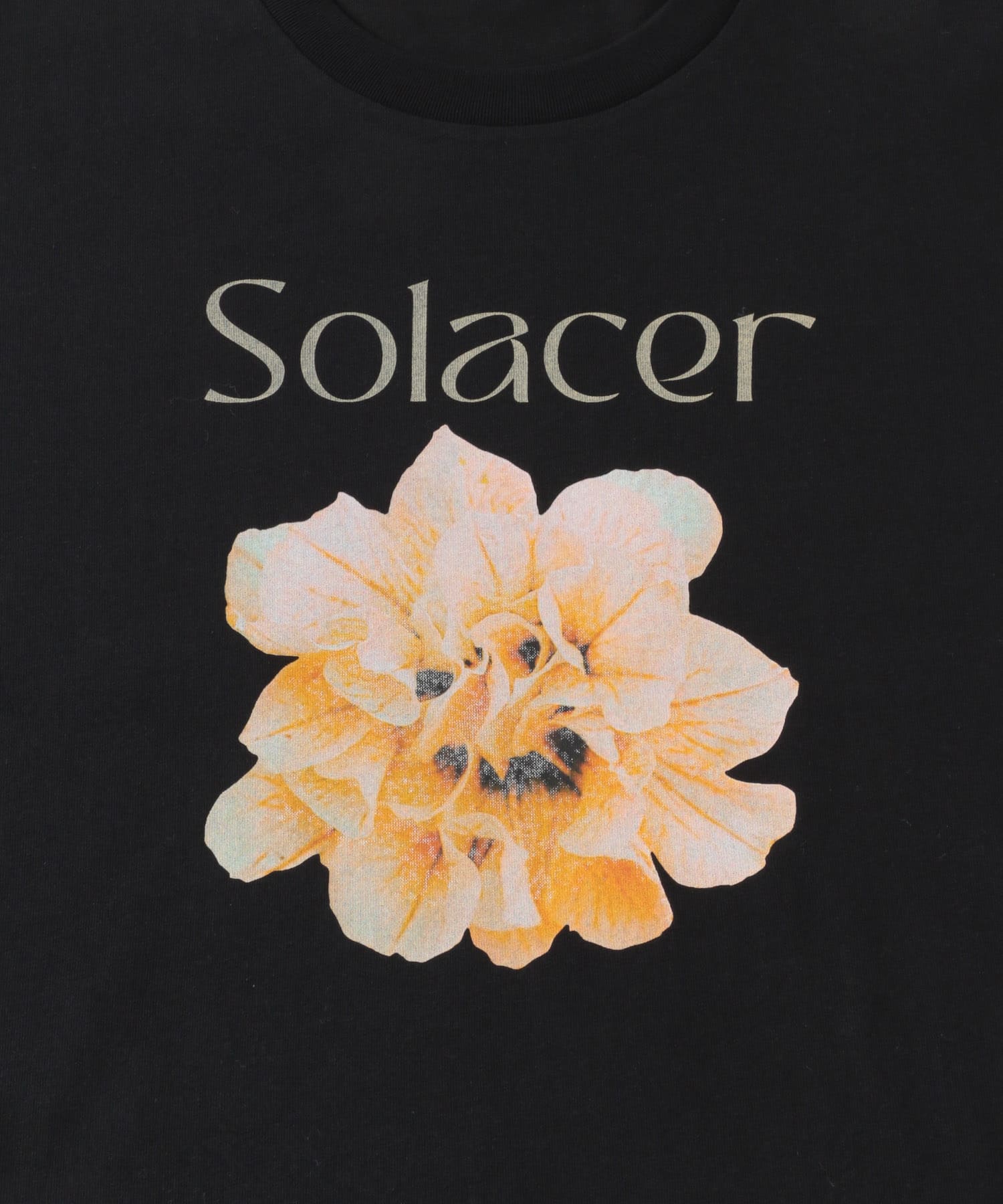 グラフィックTシャツ(半袖) GRAPHIC-D one