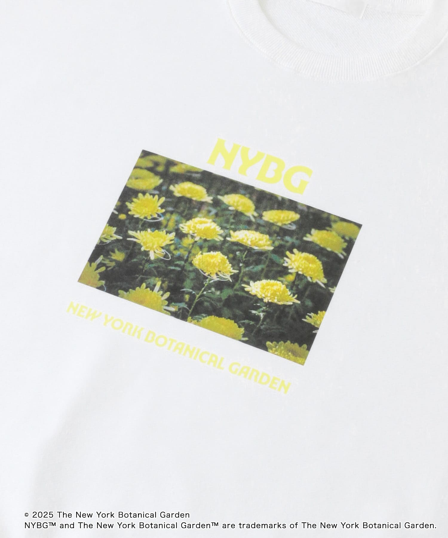 NYBG　クルーネックルーズスウェットB WHITE M