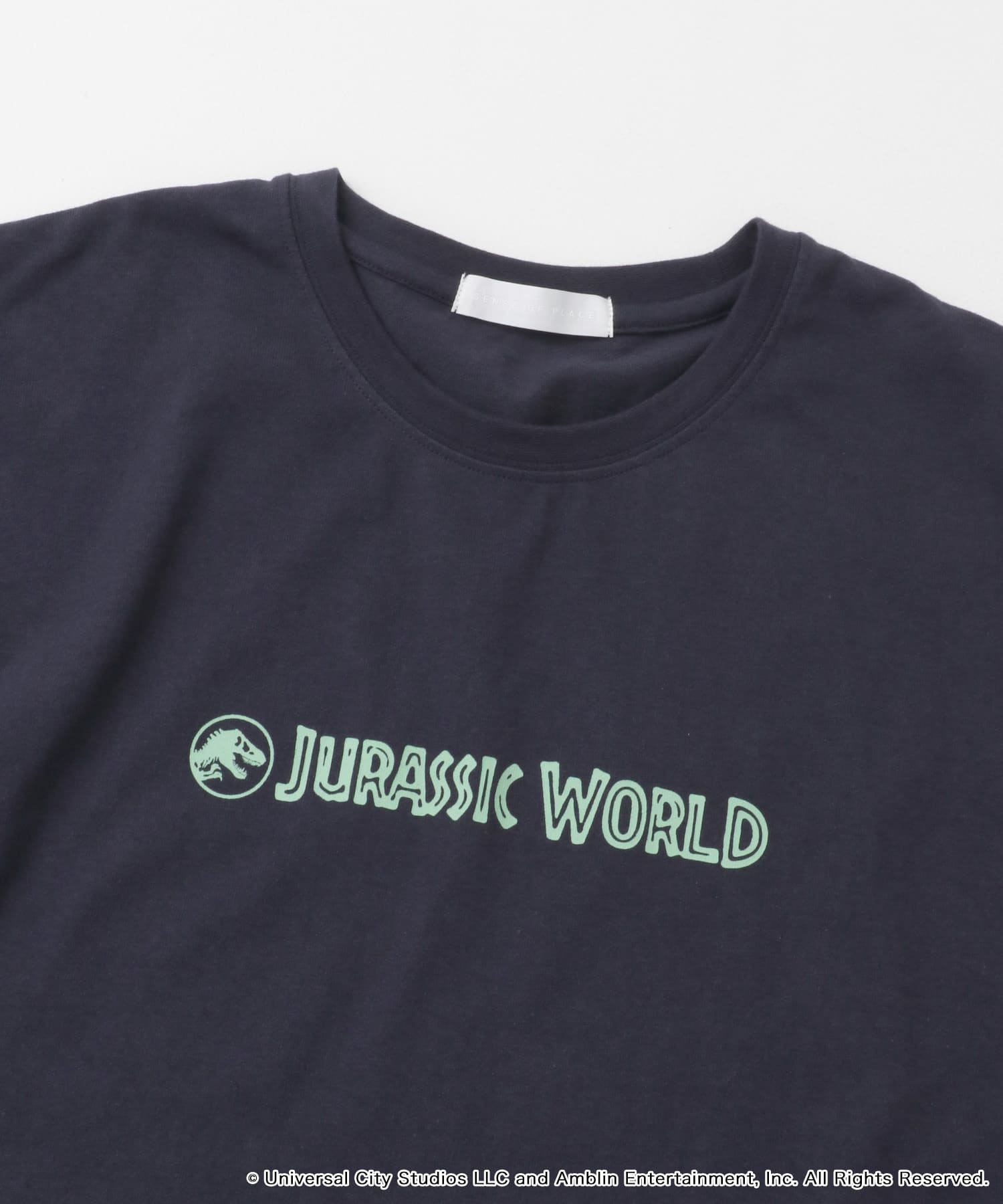 『別注』Jurassic World×SENSE OF PLACE　T-SHIRTS/A NAVY M