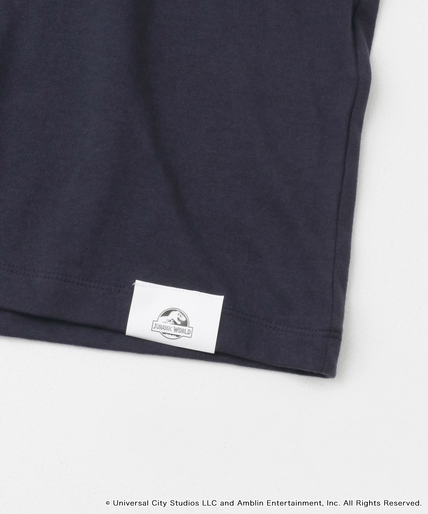 『別注』Jurassic World×SENSE OF PLACE　T-SHIRTS/A NAVY M
