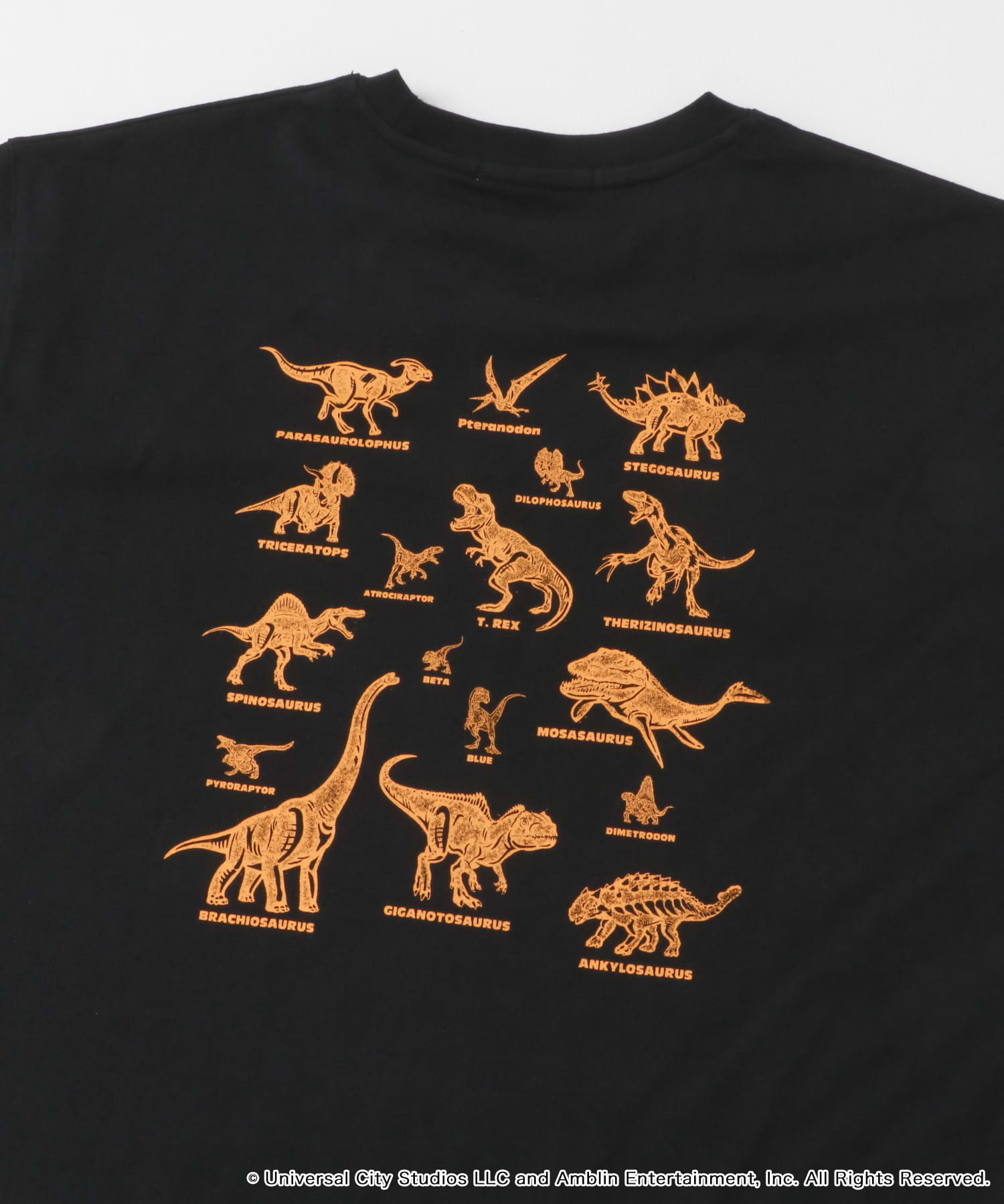 『別注』Jurassic World×SENSE OF PLACE　T-SHIRTS/A BLACK M