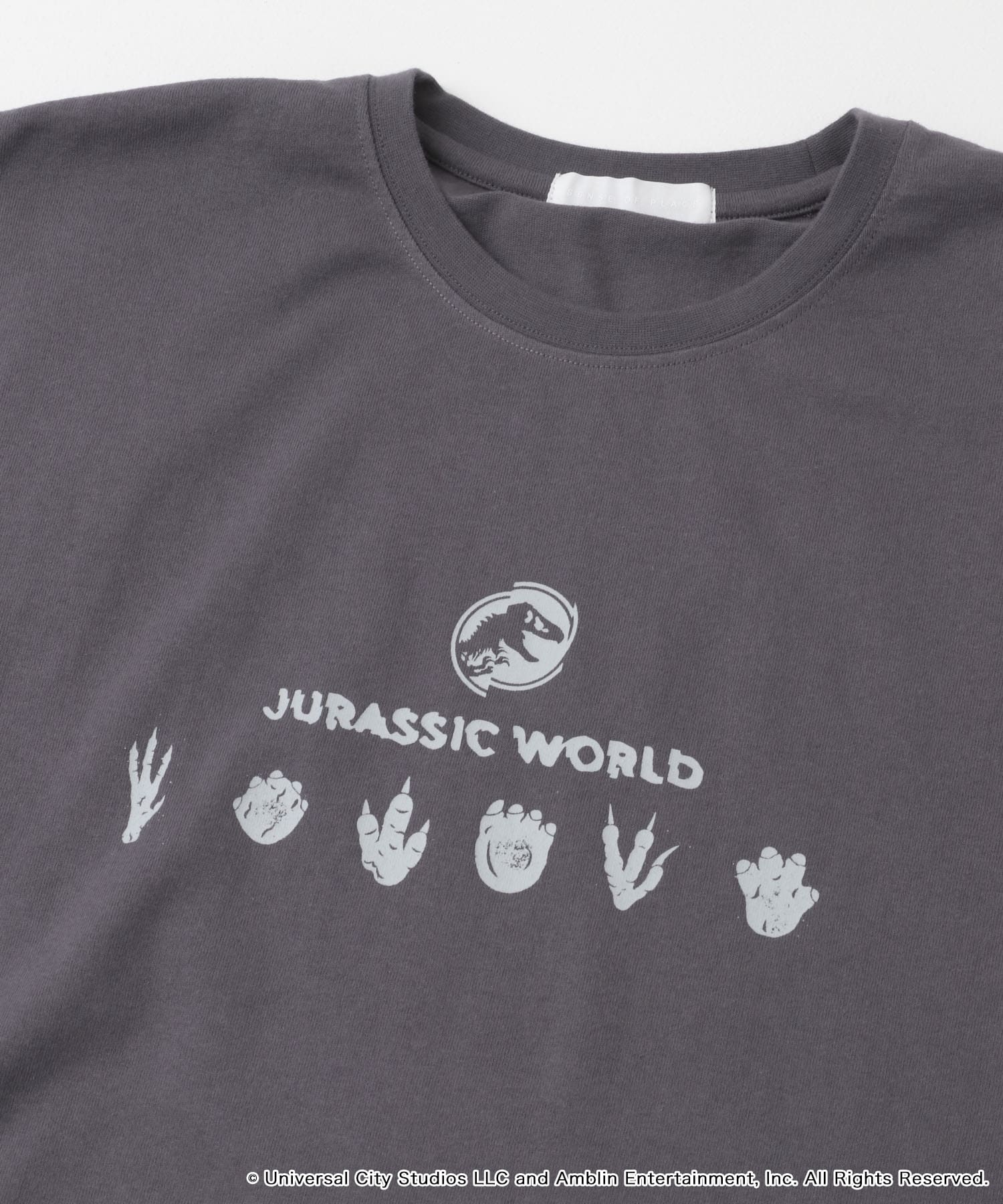 『別注』Jurassic World×SENSE OF PLACE　T-SHIRTS/B CHARCOAL M