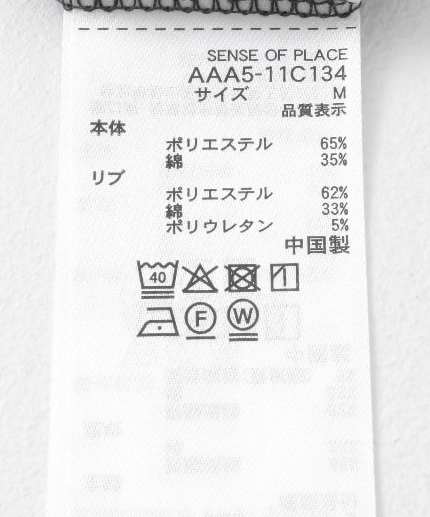 『別注』TeddyBear×SENSE OF PLACE　ショートスリーブTシャツ CHARCOAL L