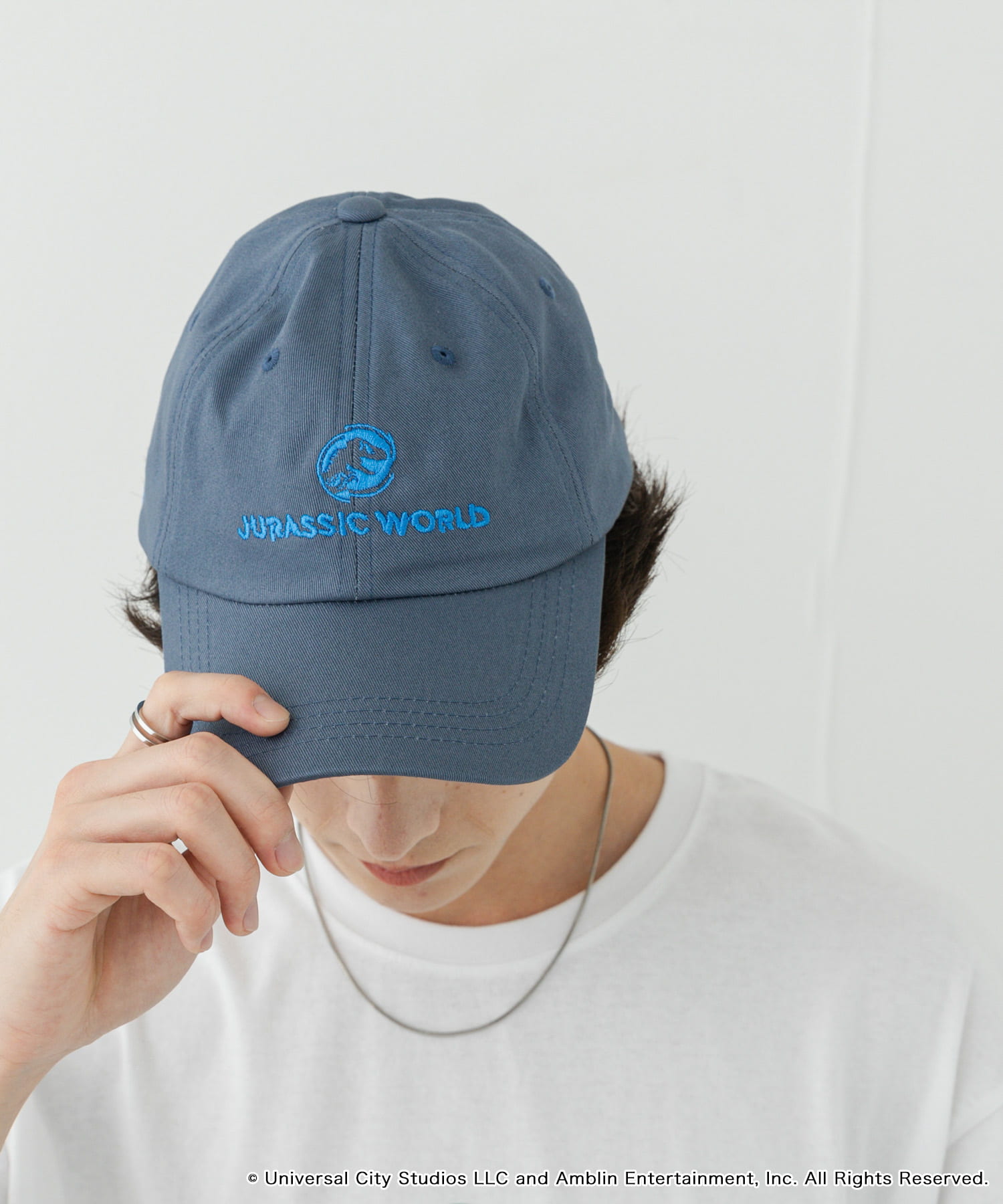 『別注』Jurassic World×SENSE OF PLACE　CAP BLUE one