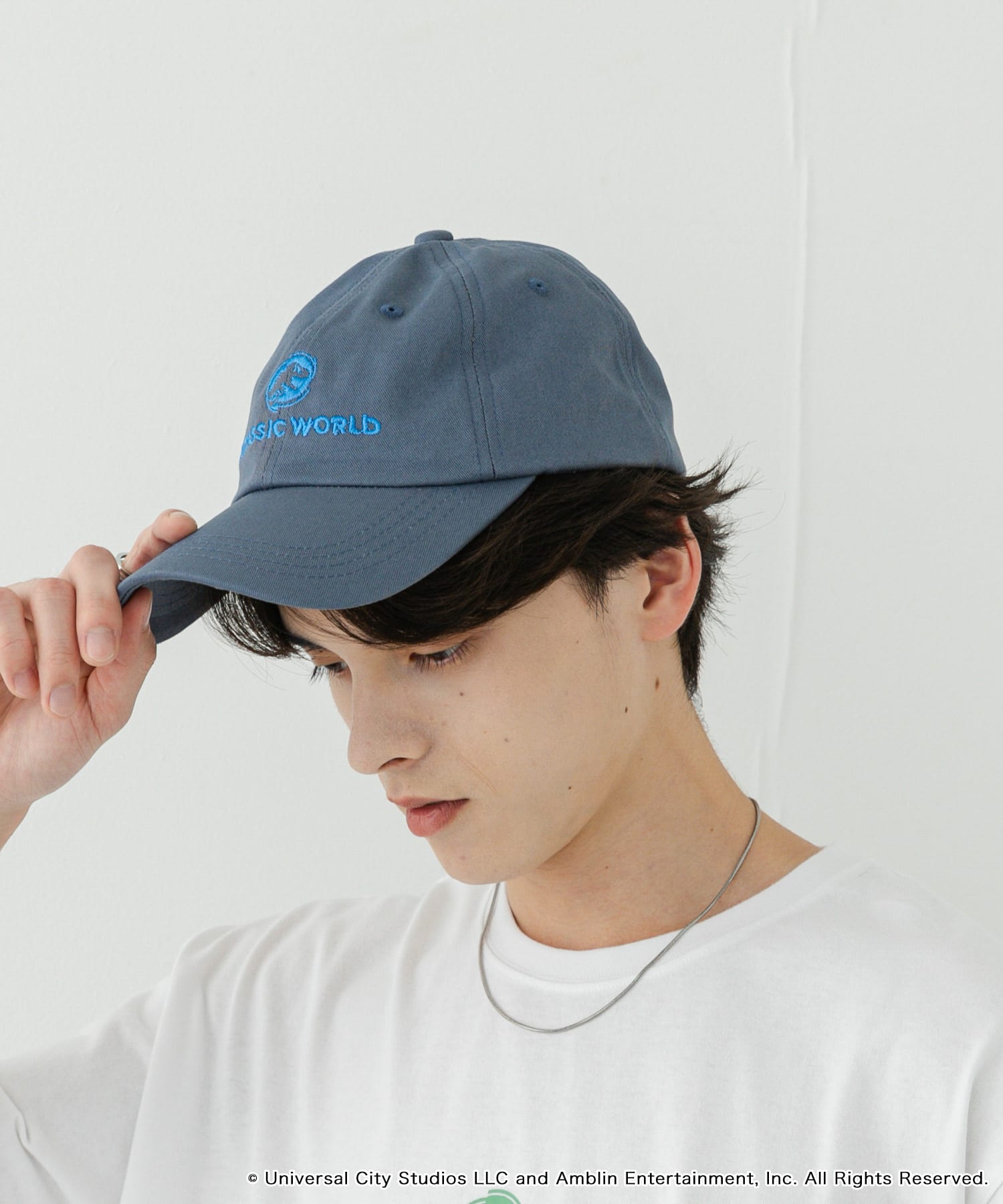 『別注』Jurassic World×SENSE OF PLACE　CAP BLUE one