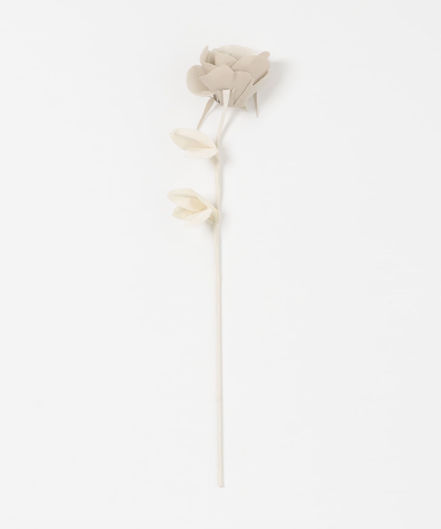 『別注』LOVECO×BLOMSTER　バラ