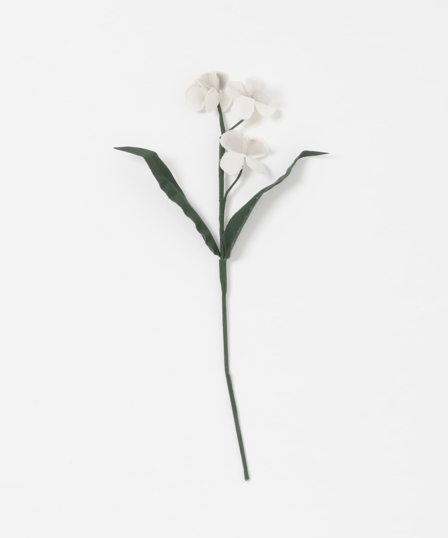 BLOMSTER　LOVECO忘れな草 OFF -