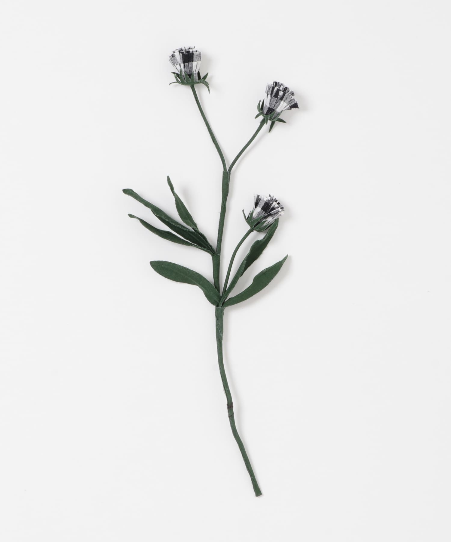 BLOMSTER　LOVECOアザミ