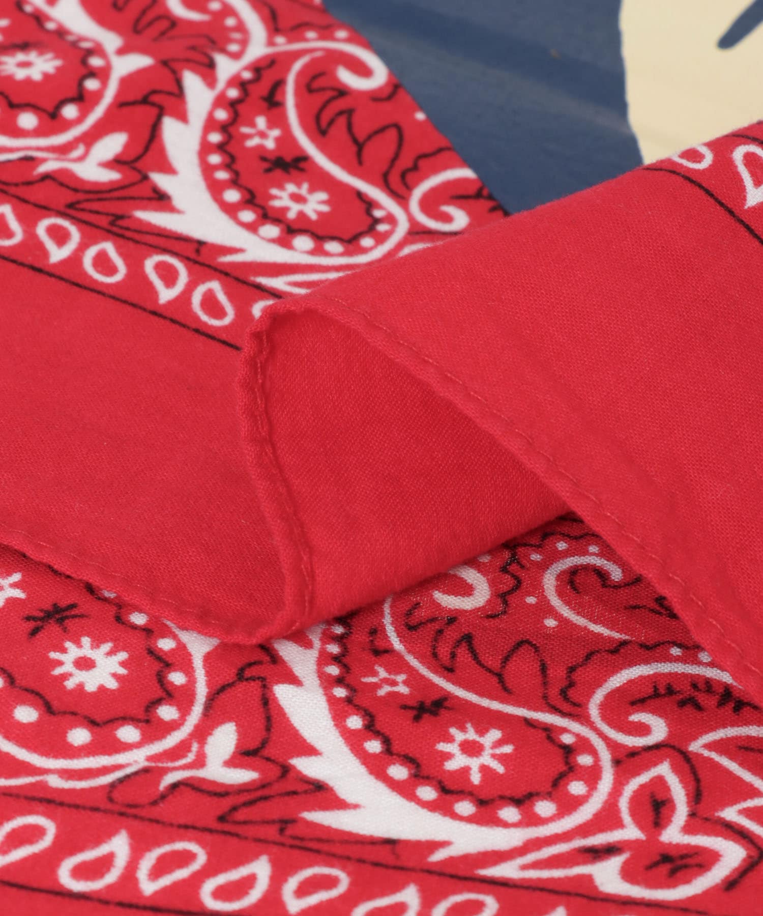 ザ グッドランド マーケット　三戸なつめ×Used Bandanna RED one