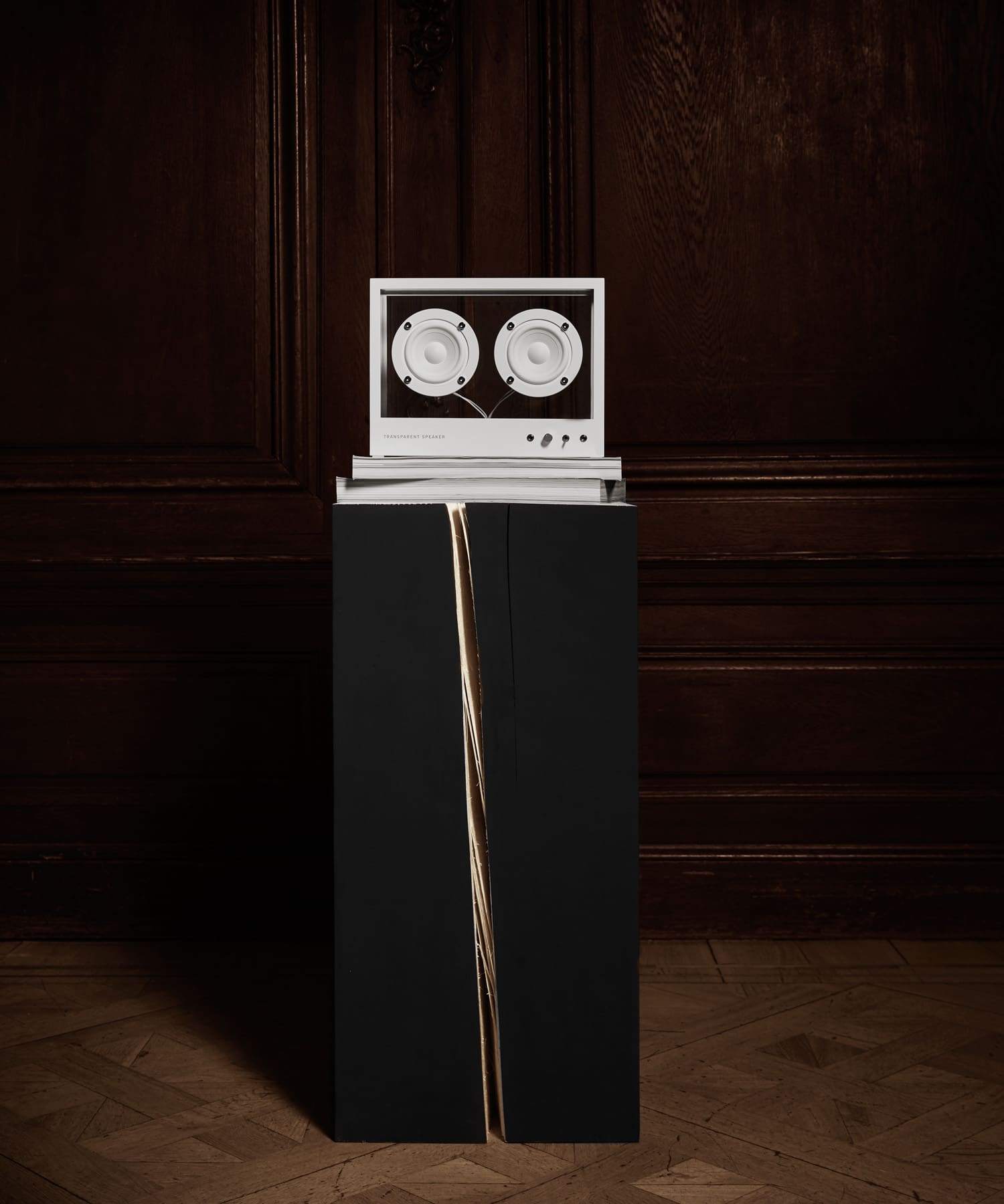 TRANSPARENT SOUND　SMALL TRANSPARENT SPEAKER WHITE FREE