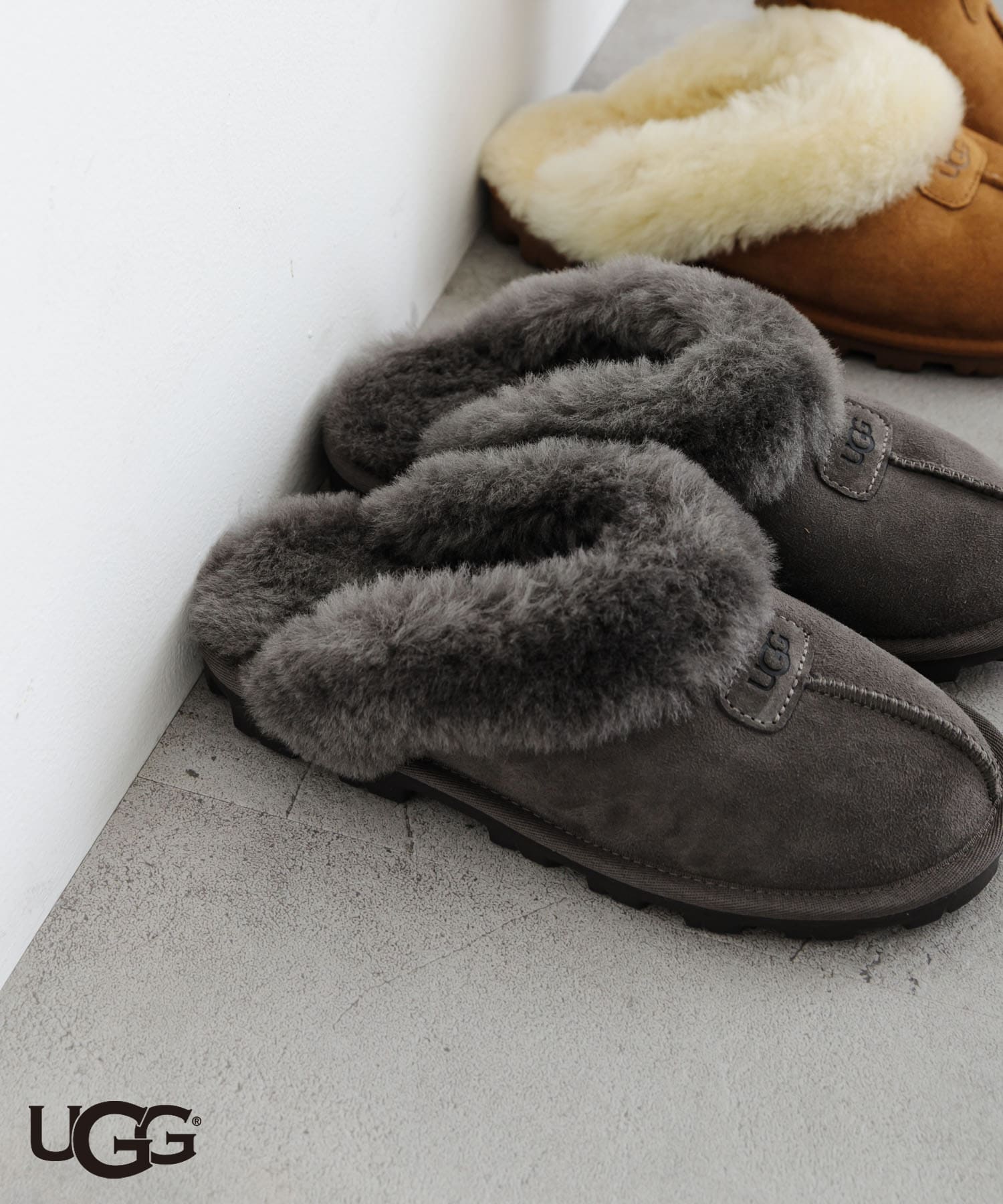 UGG　COQUETTE