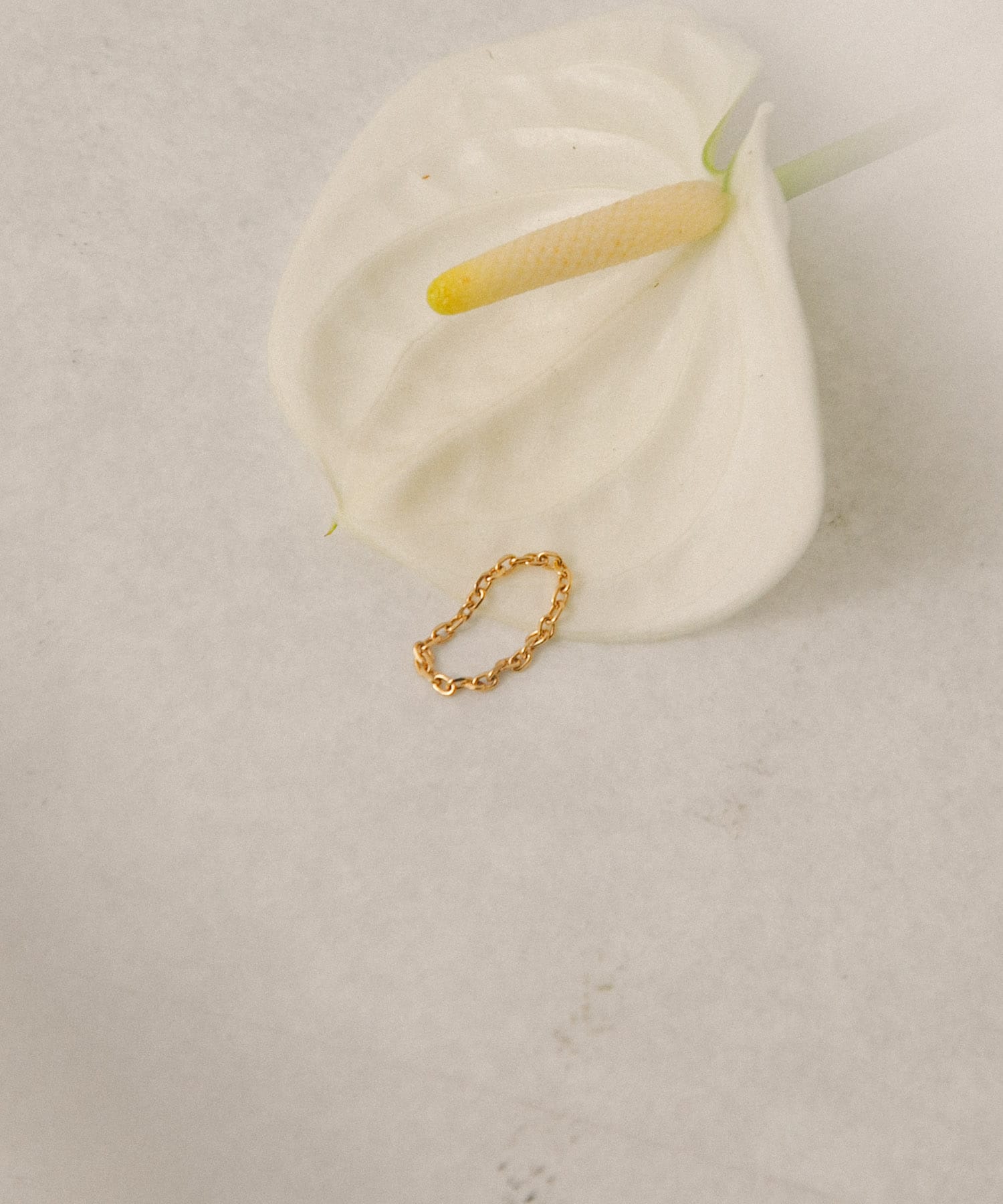 decor『デコール』　18K RectangleRing Gold 11