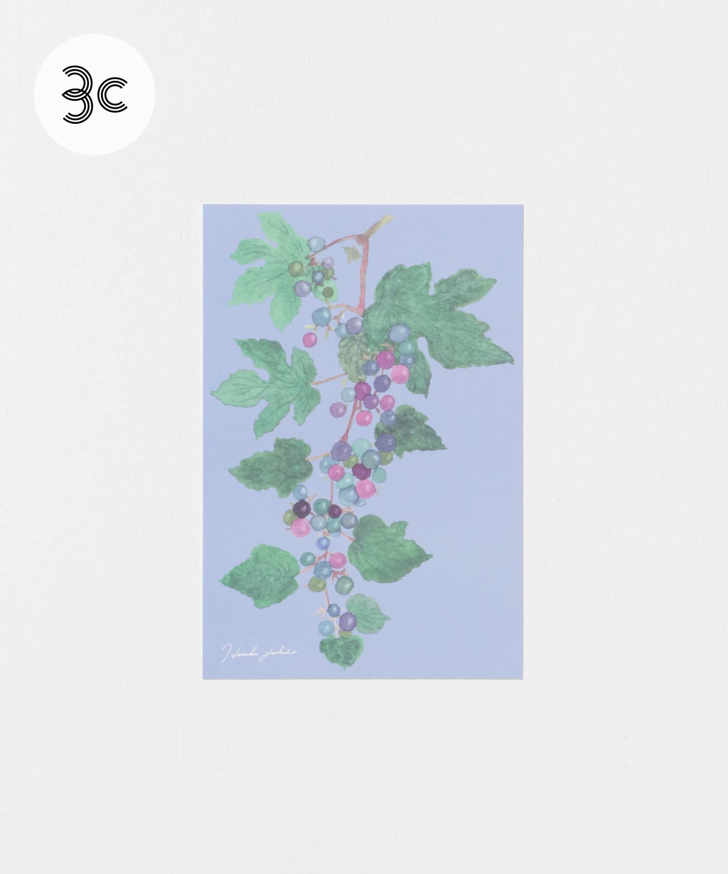 はるかぜ染色工房　ポストカード