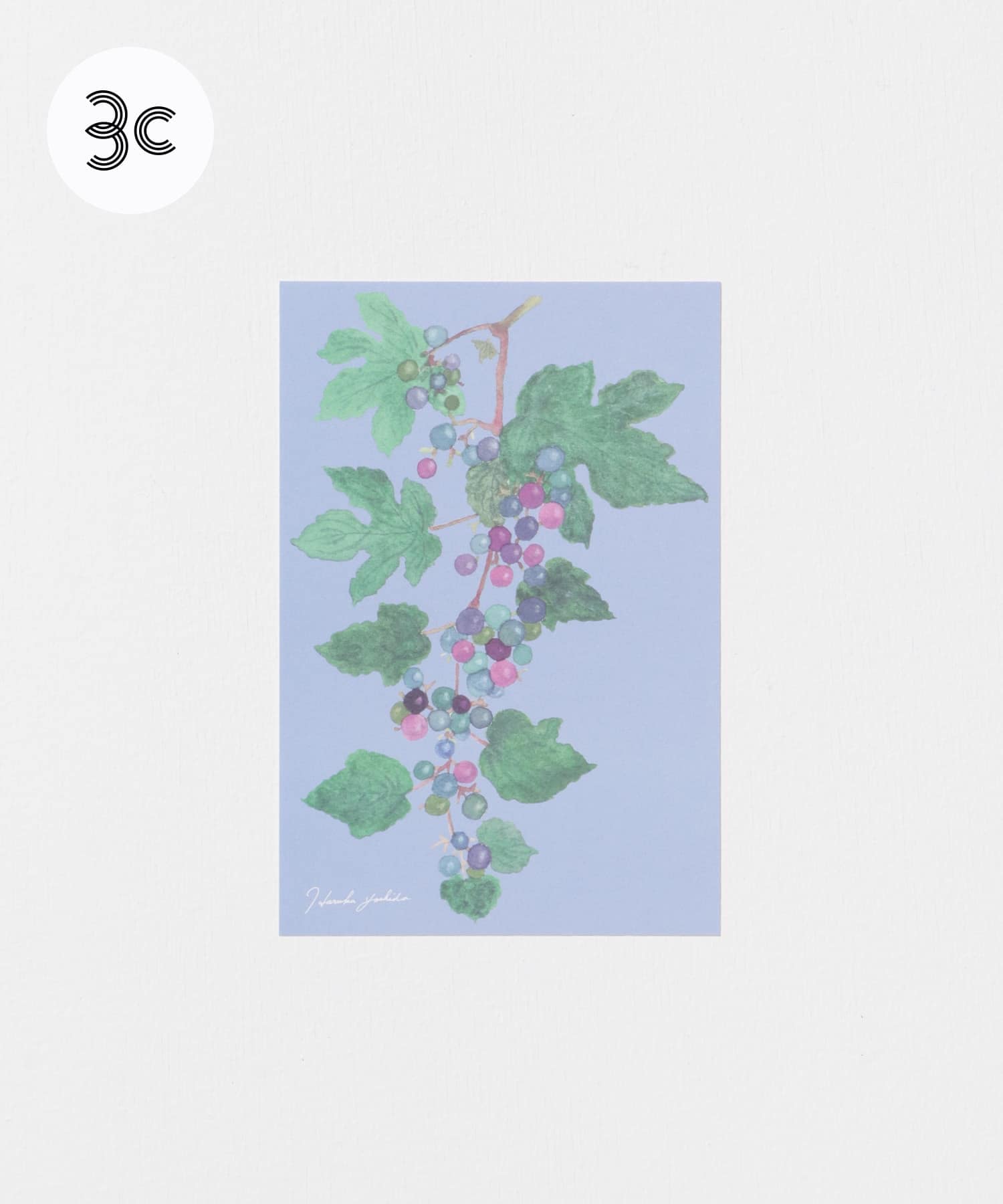 はるかぜ染色工房　ポストカード