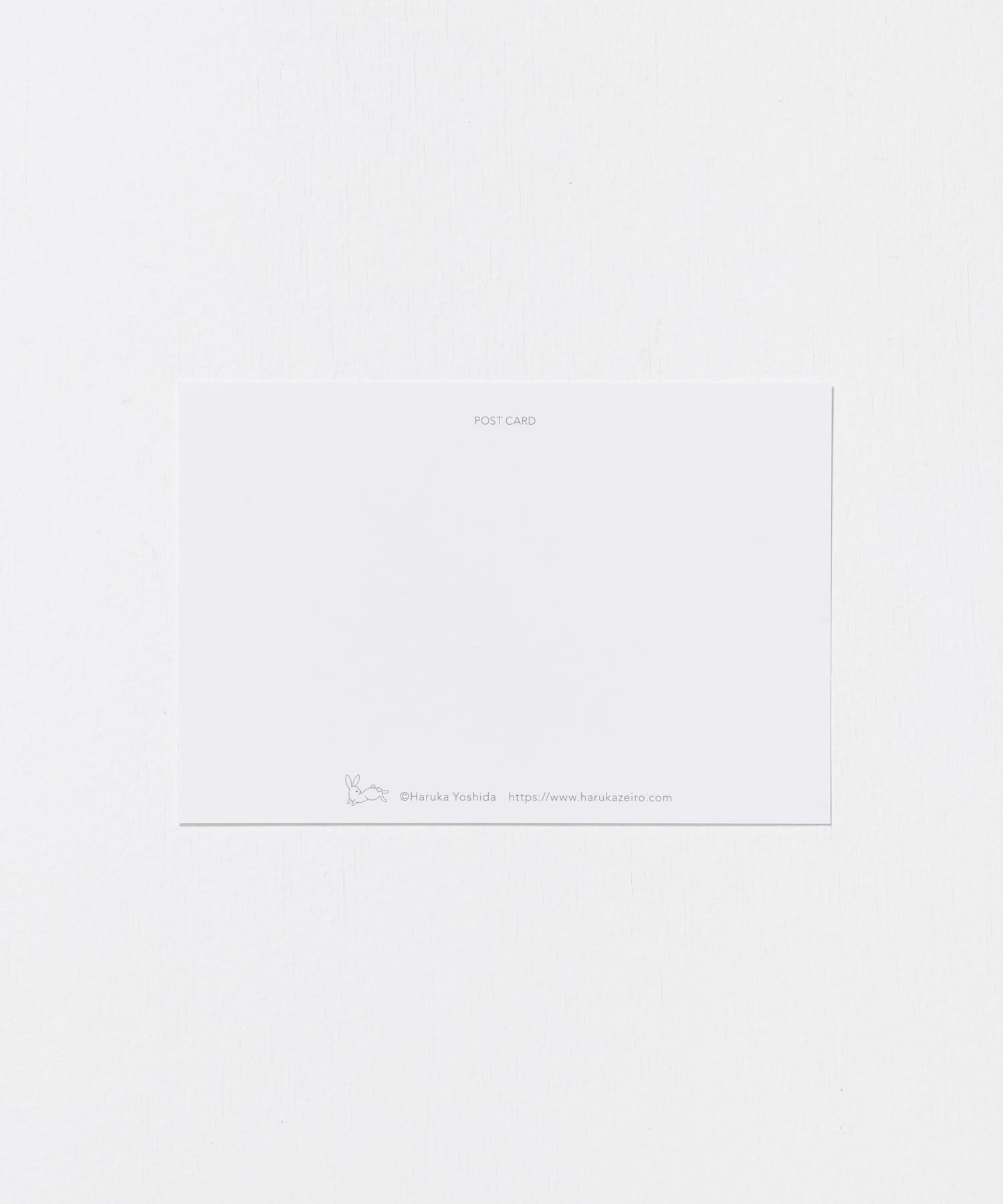 アネモネの花束