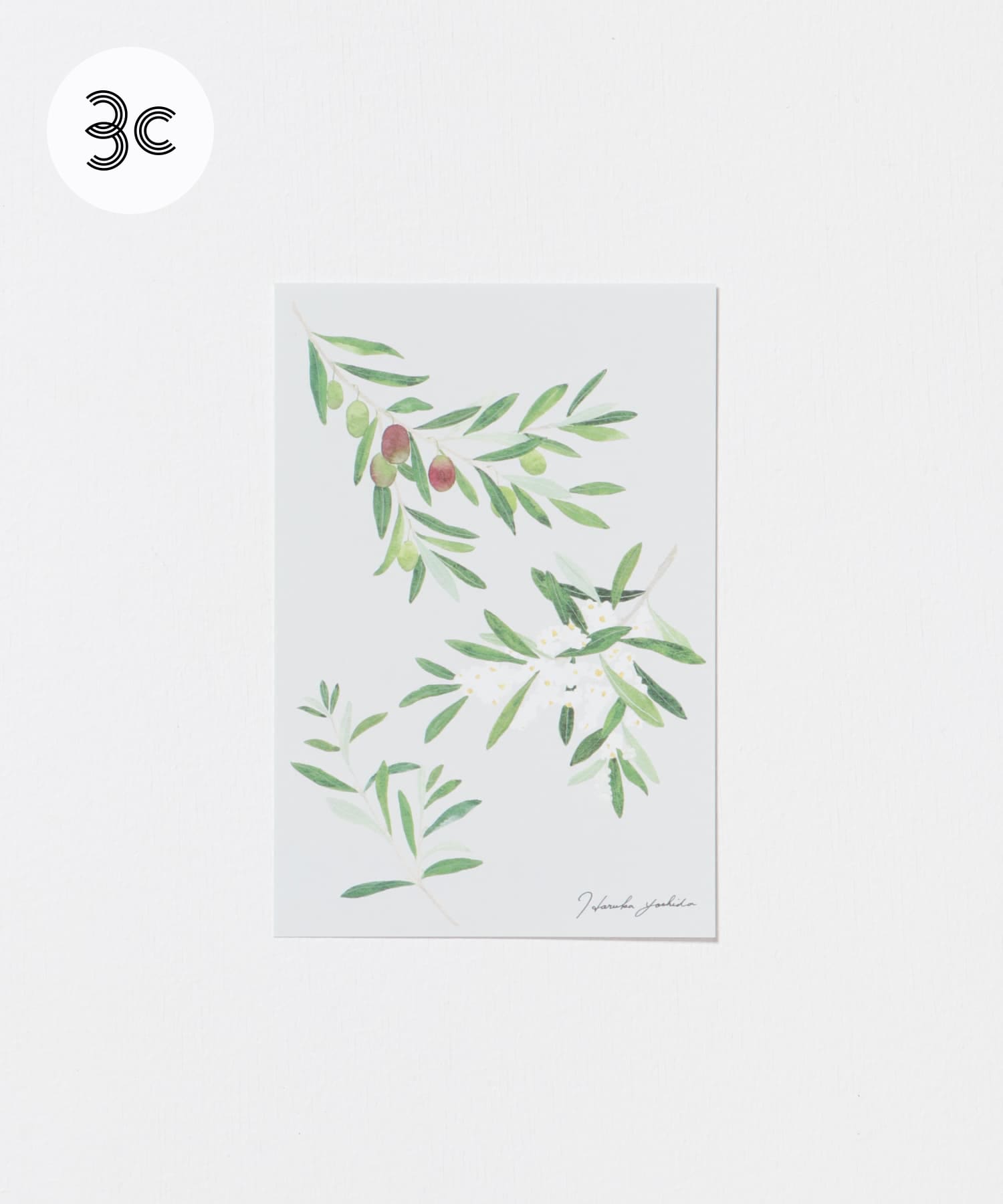 はるかぜ染色工房　ポストカード