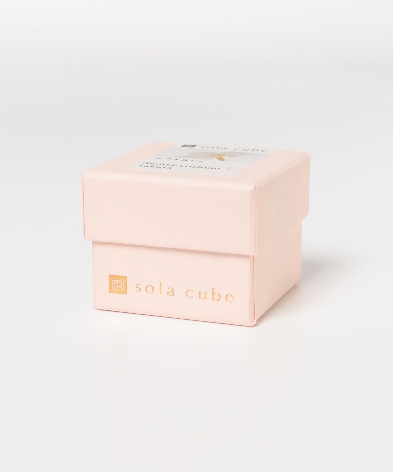 sola　ソメイヨシノ - 0